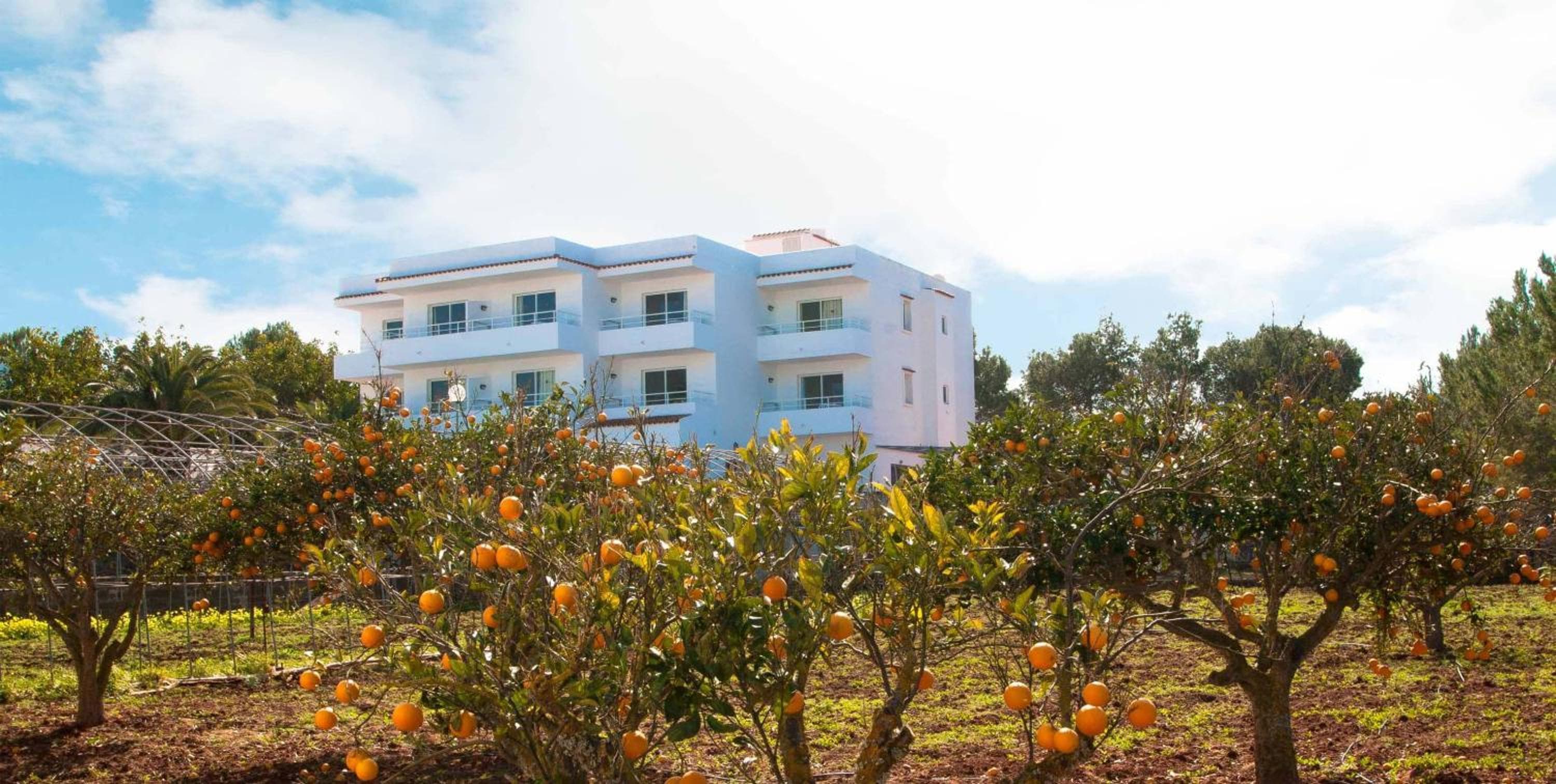 The Ibiza Oasis - Adults Only Boutique Hotel - Sunset Suites, San Antonio Bay, photo 5