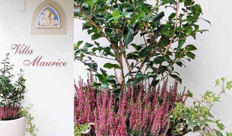 Residence Villa Maurice, Stresa, photo 5