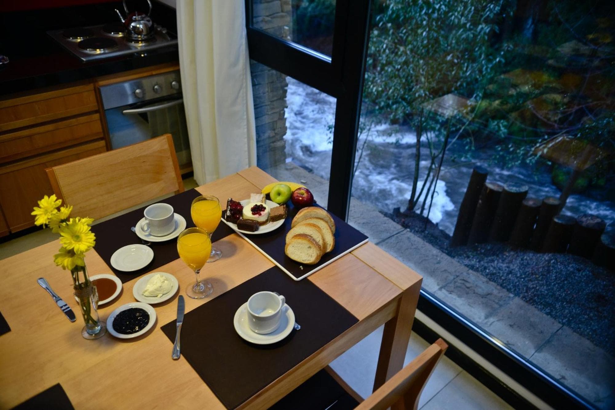 El Oasis Apart Hotel, San Martín de los Andes, photo 6