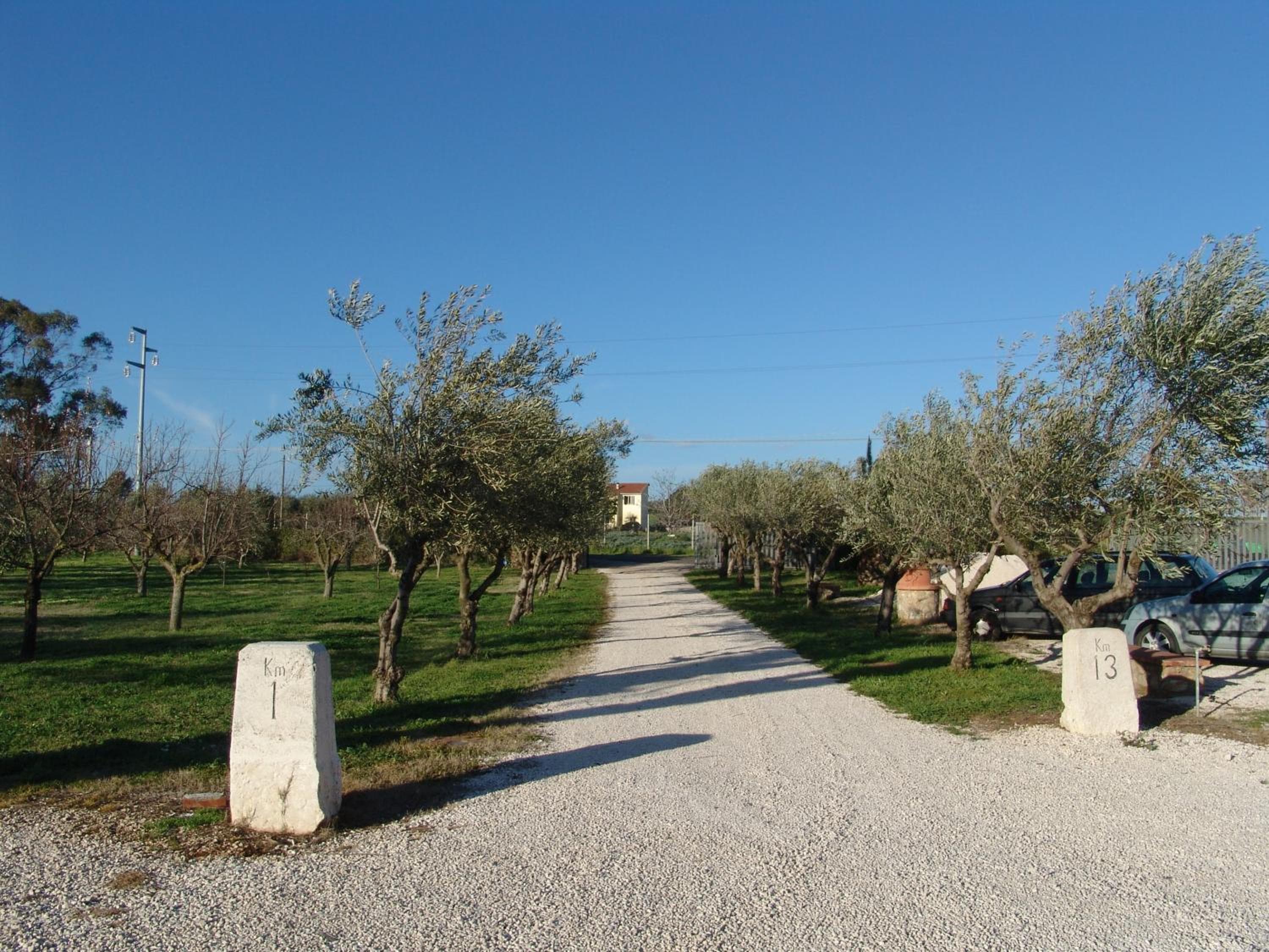 Podere 1248, Ladispoli, photo 3