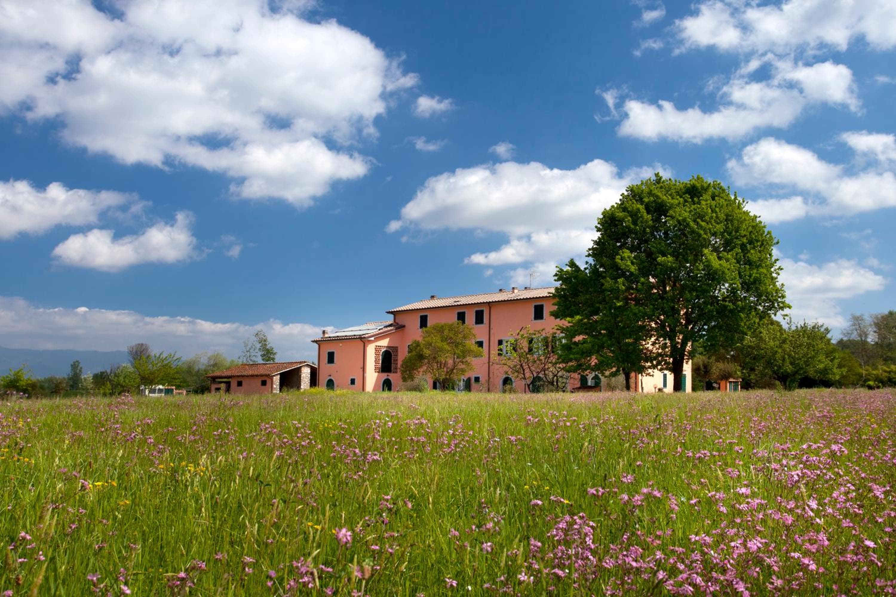 Tenuta San Giovanni Lucca, Lucca