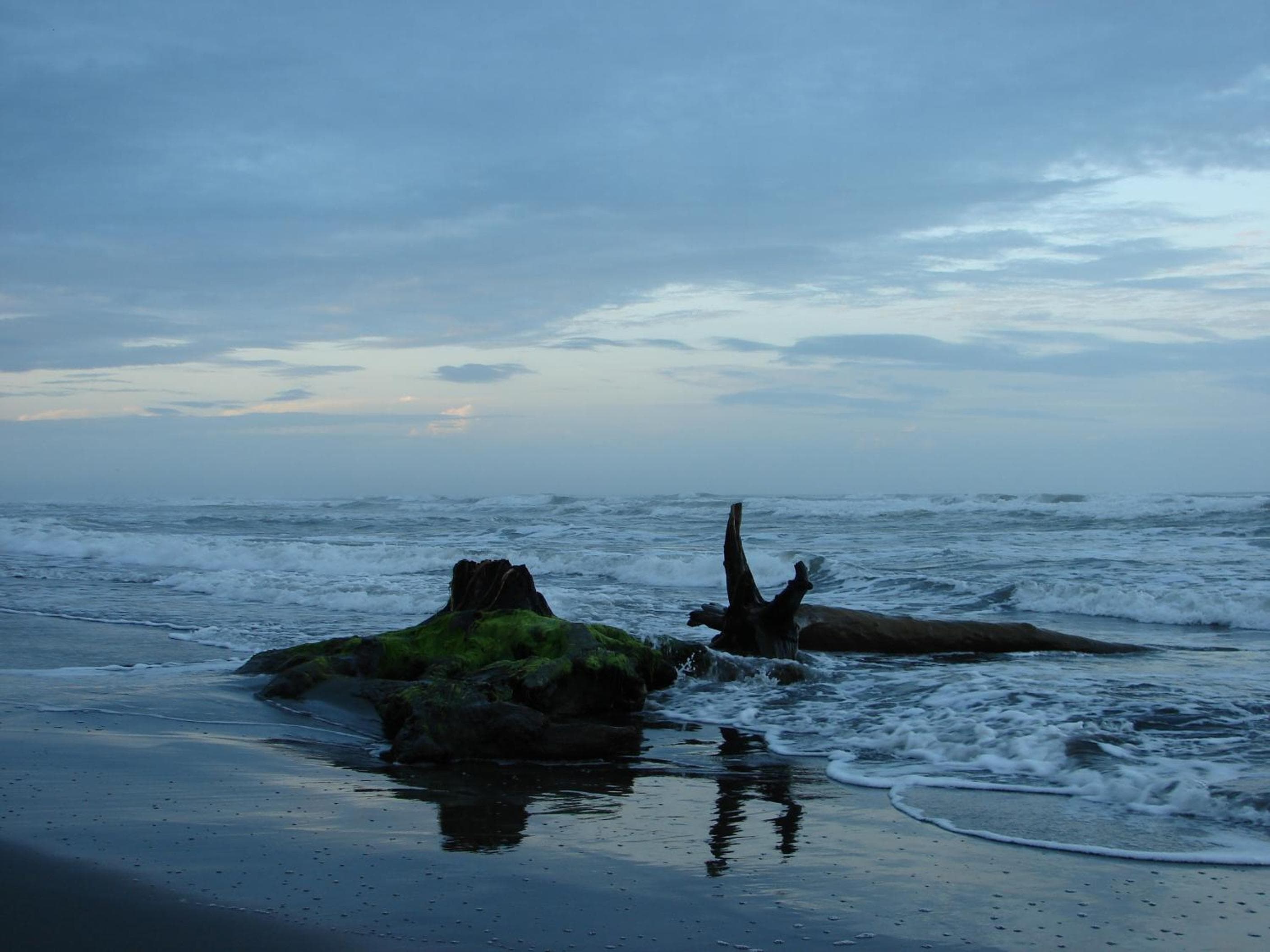 Babilonia, Cahuita, photo 6