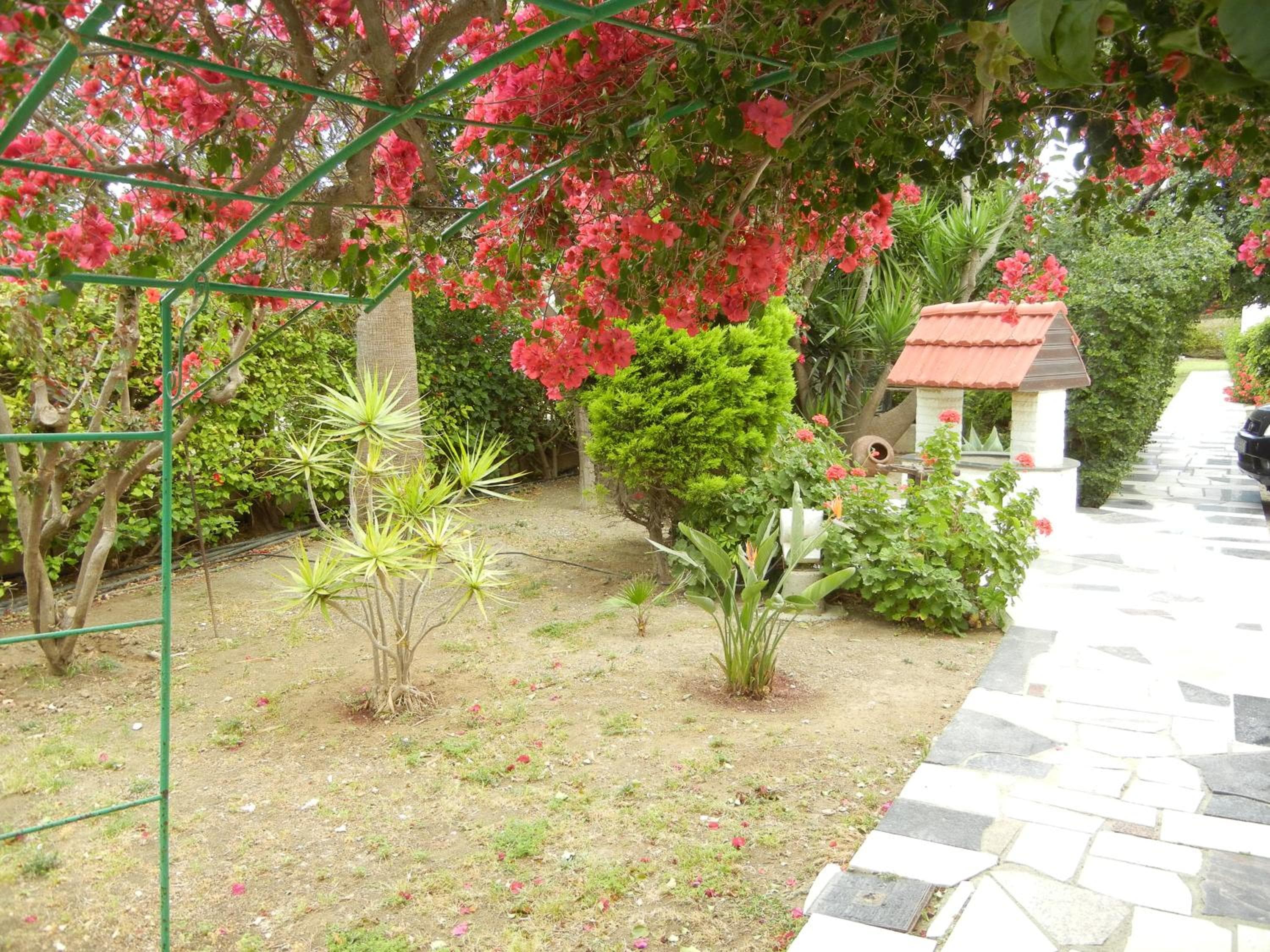 Tsialis Hotel Apartments, Larnaka, photo 4