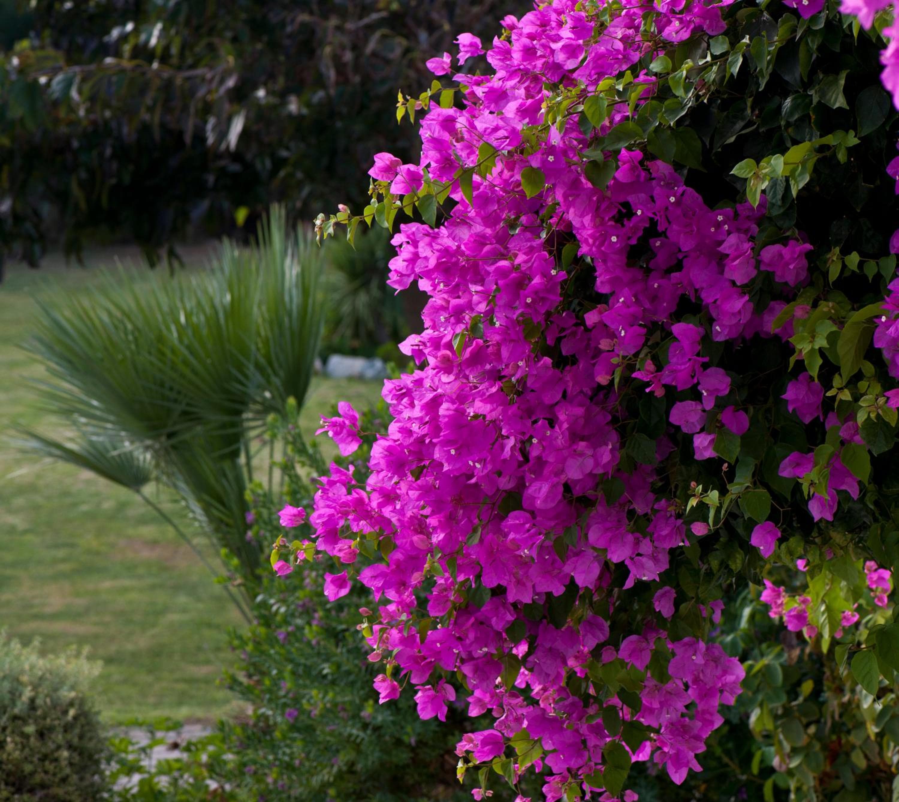 Ammos Naxos Exclusive Apartments & Studios, Naxos Chora, photo 4