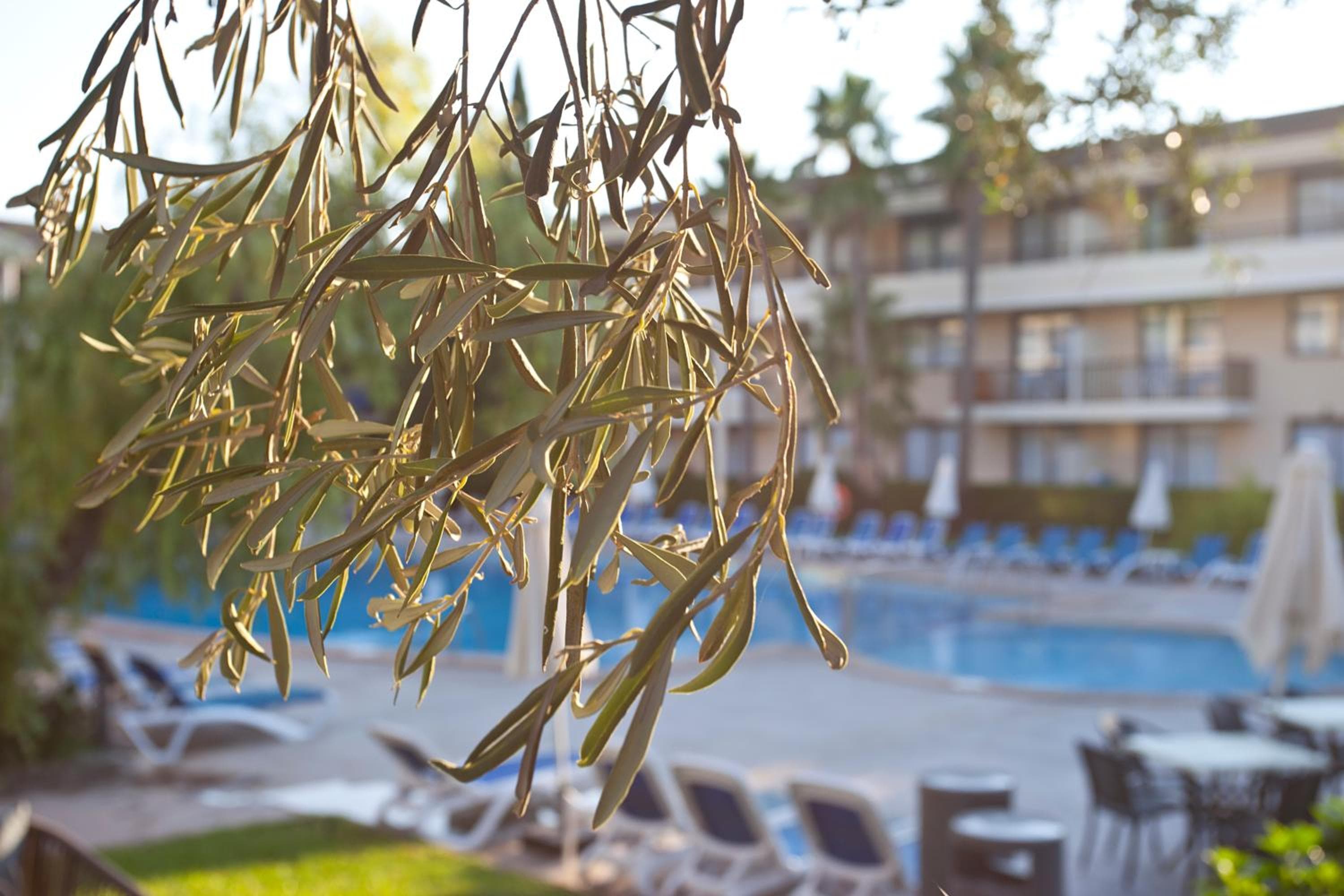 Hotel Eu Bahia Pollença, photo 5