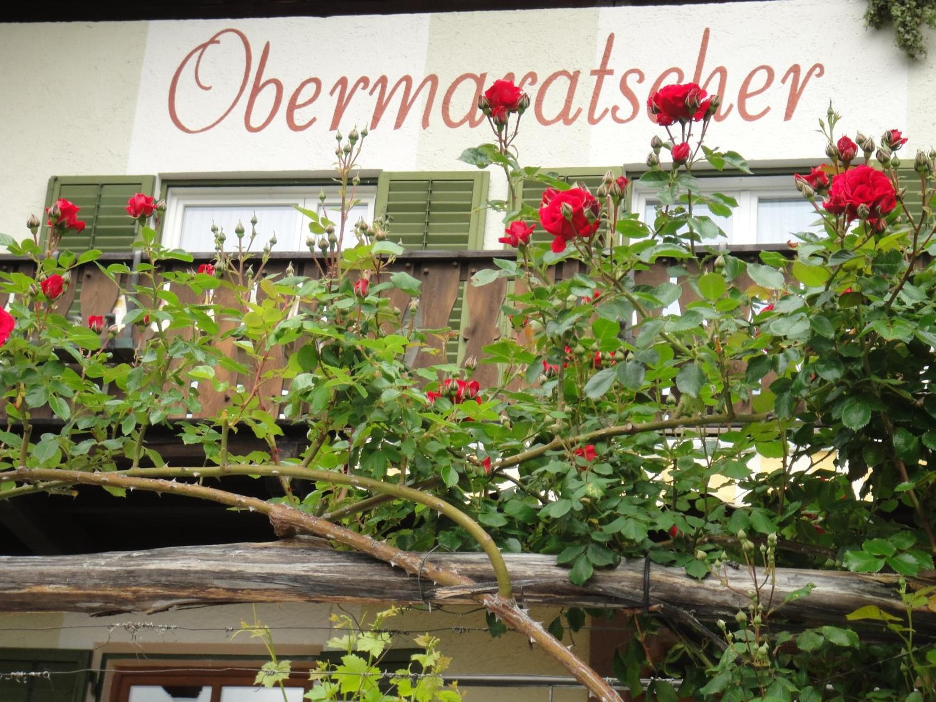 Obermaratscher Apartments Residence, Lagundo, photo 4
