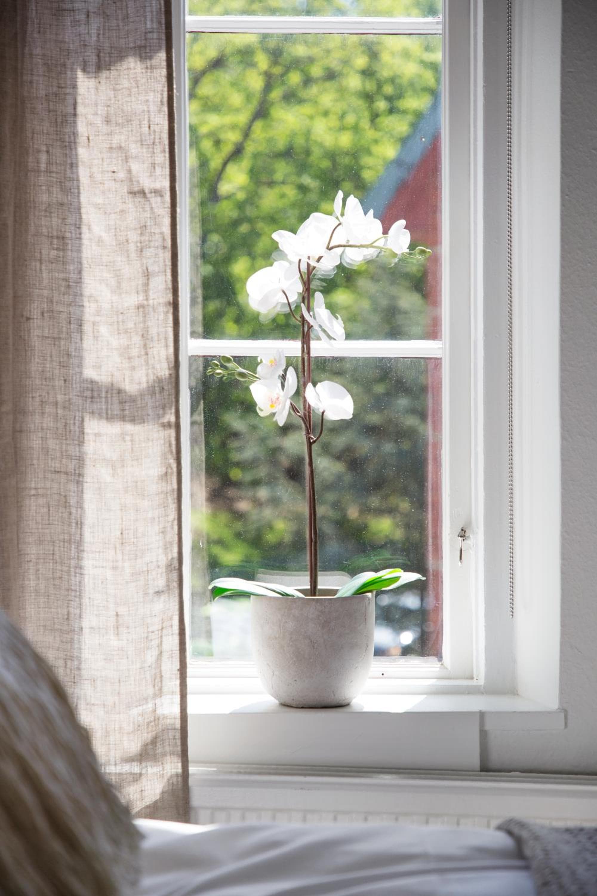 WOW Apartments & Rooms, Gothenburg, photo 5