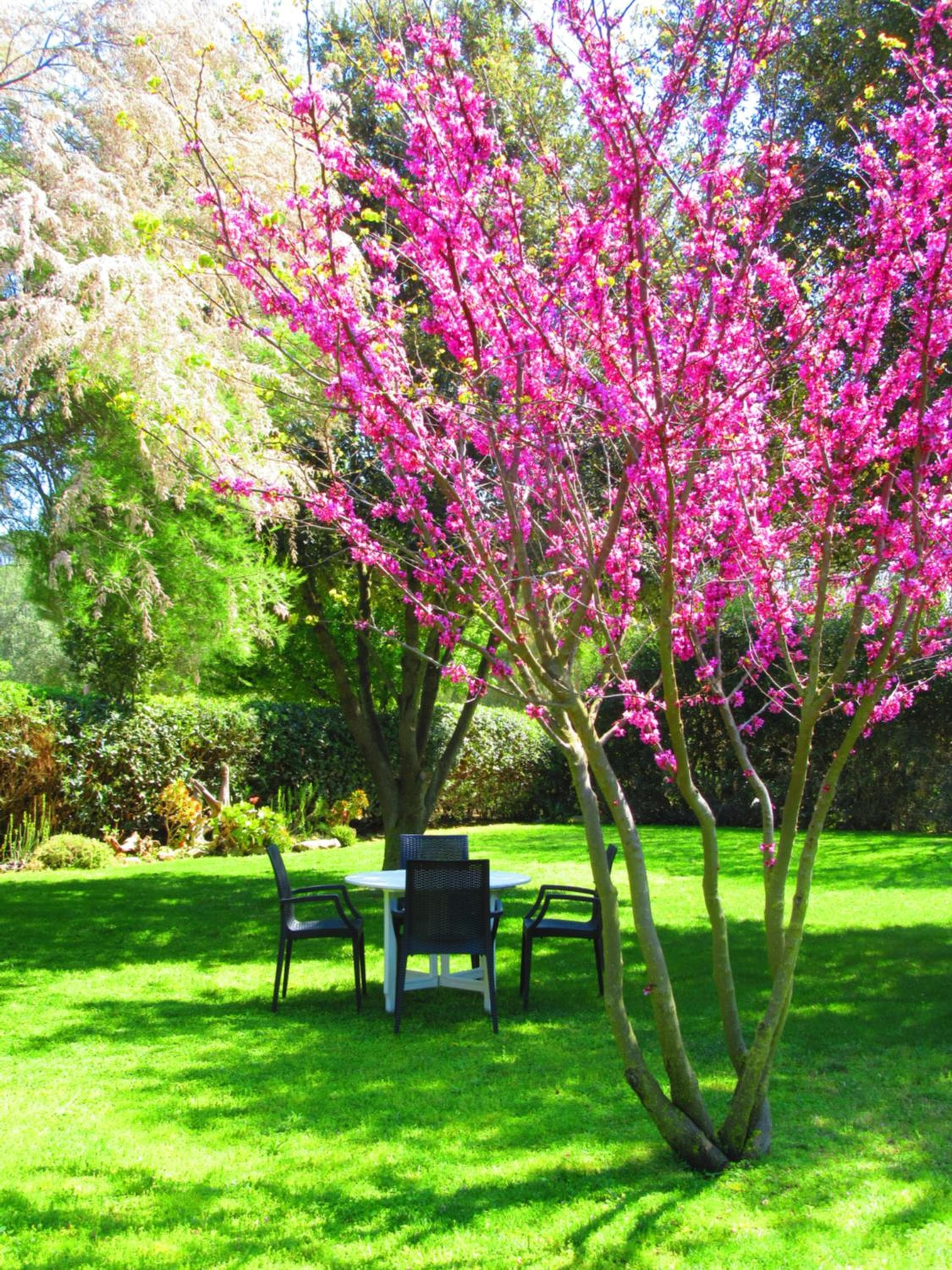 Agriturismo Serignano alle Rocchette, Castiglione della Pescaia, photo 6