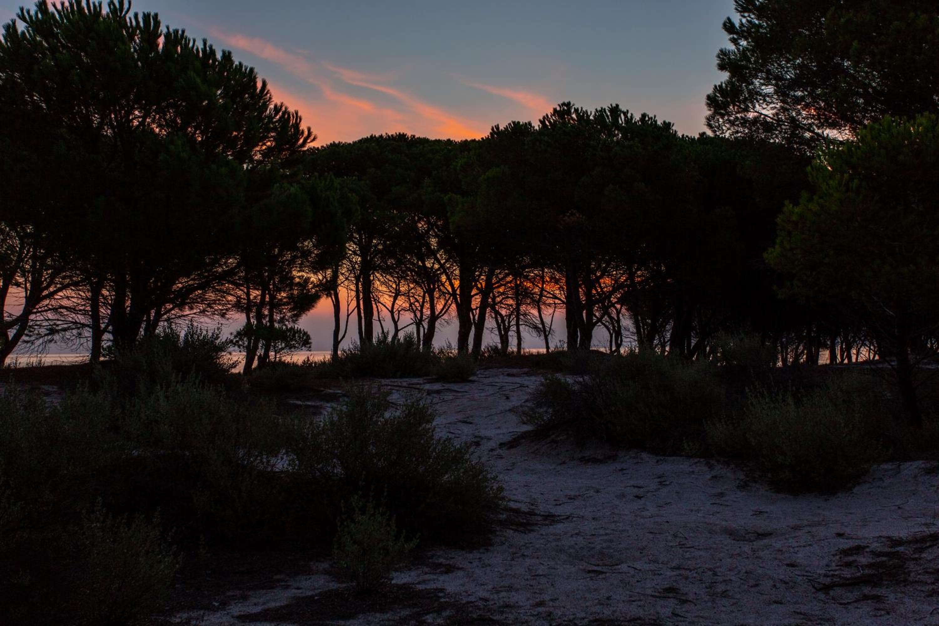 Residenze Mare e Pineta, Budoni, photo 6