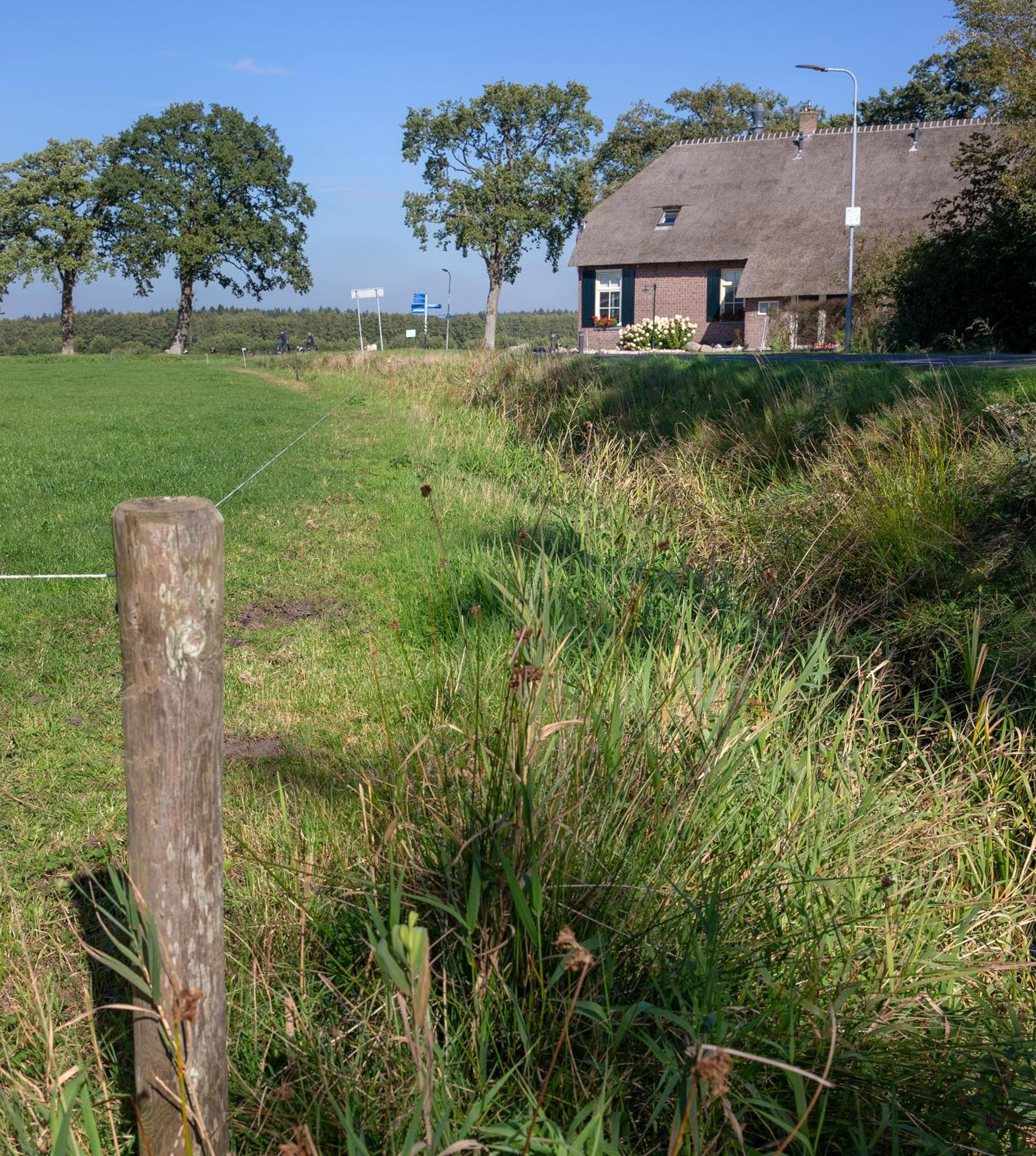 De Veurdeale, Havelte, photo 5