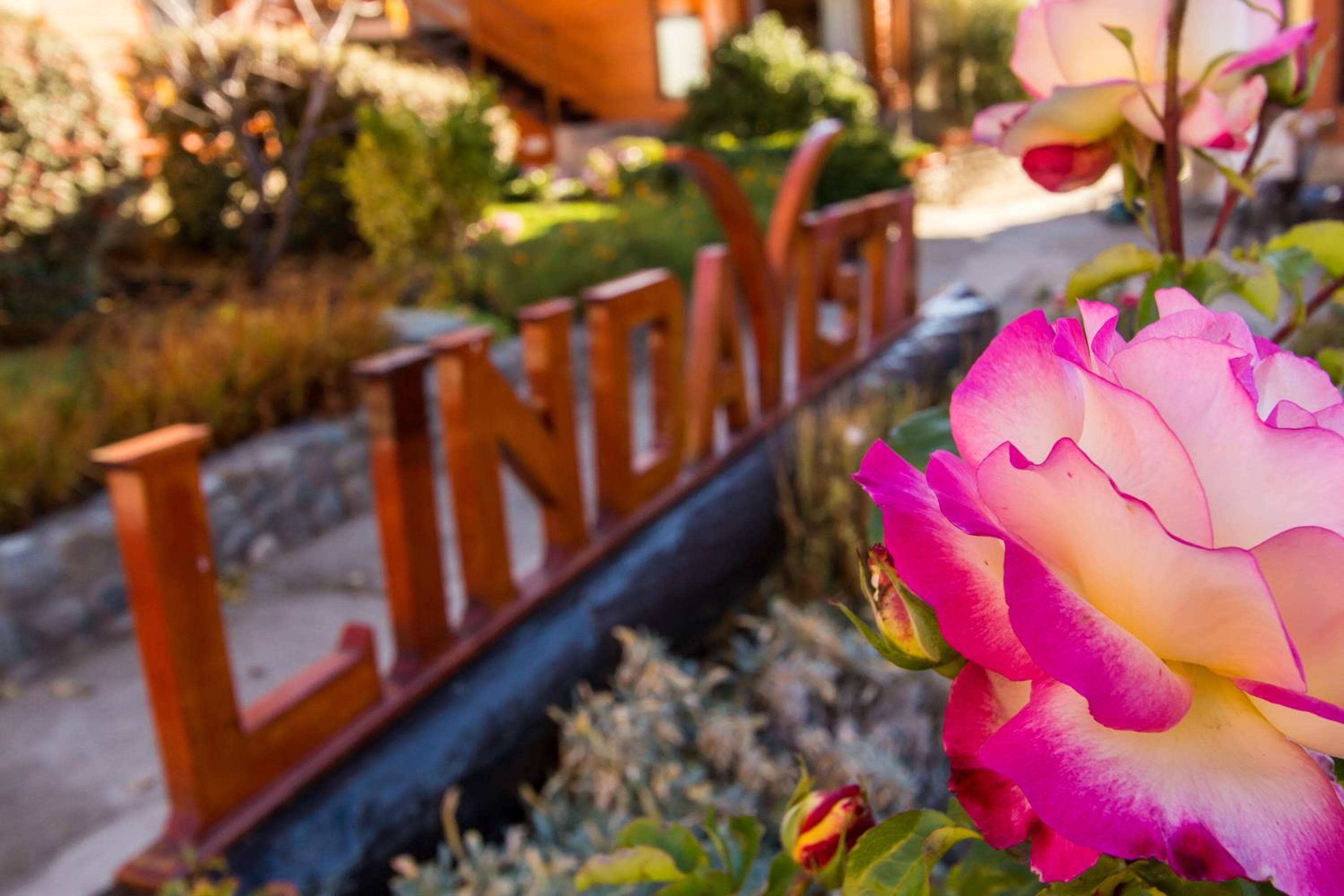 Linda Vista Apart Hotel, El Calafate, photo 3