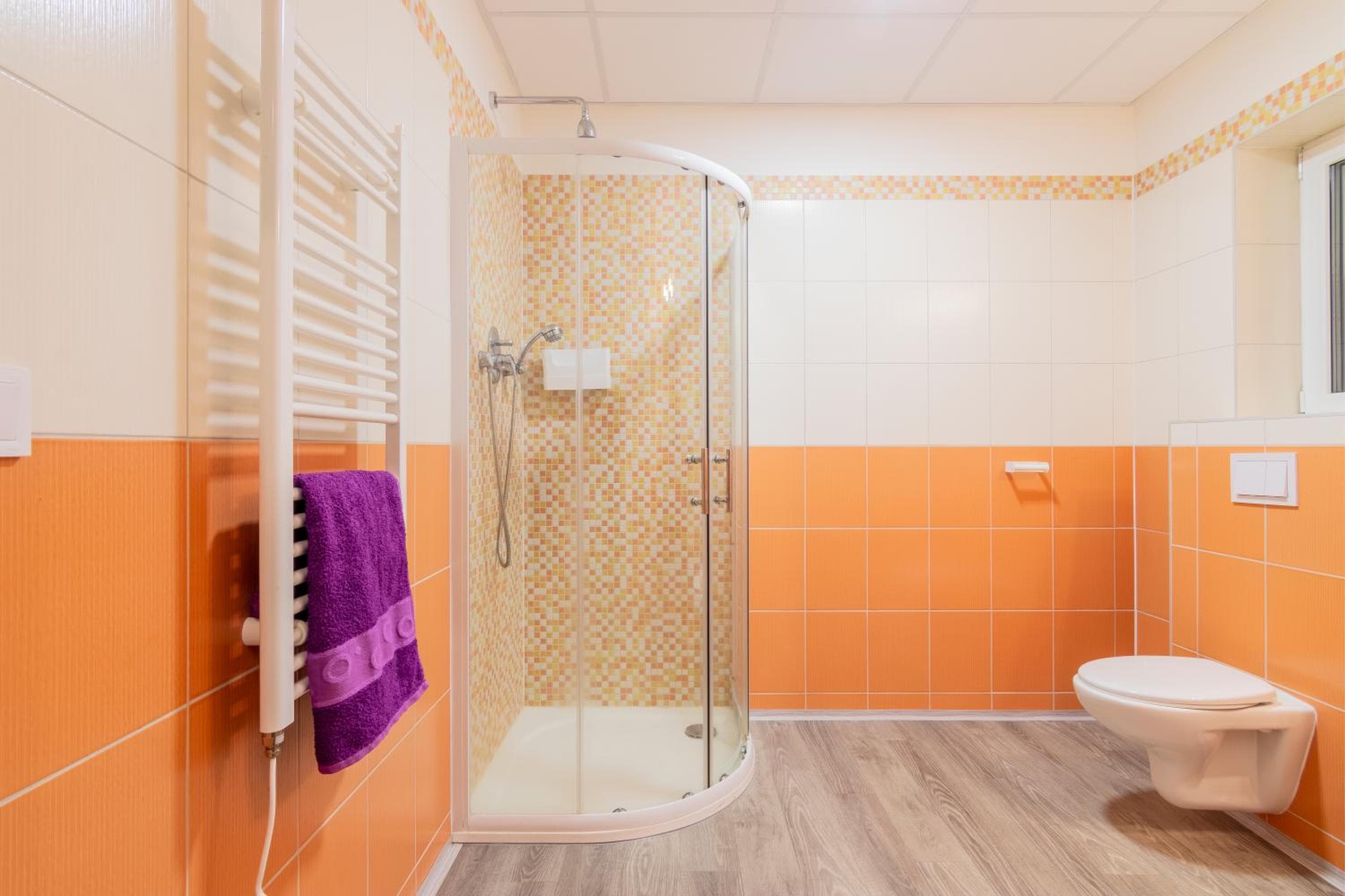Aparthotel DKS, Chomutov, photo 5