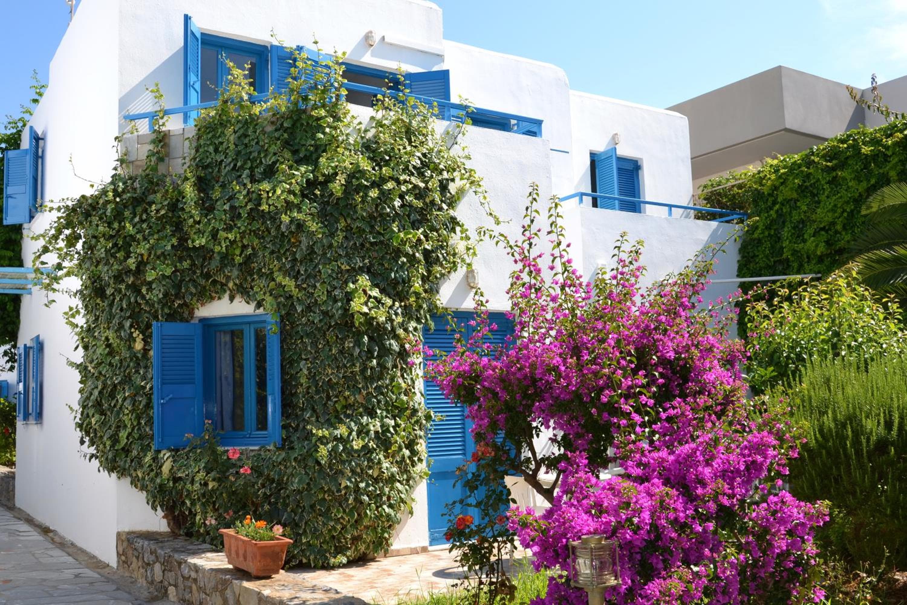 Galeana Beach Hotel, Platanes