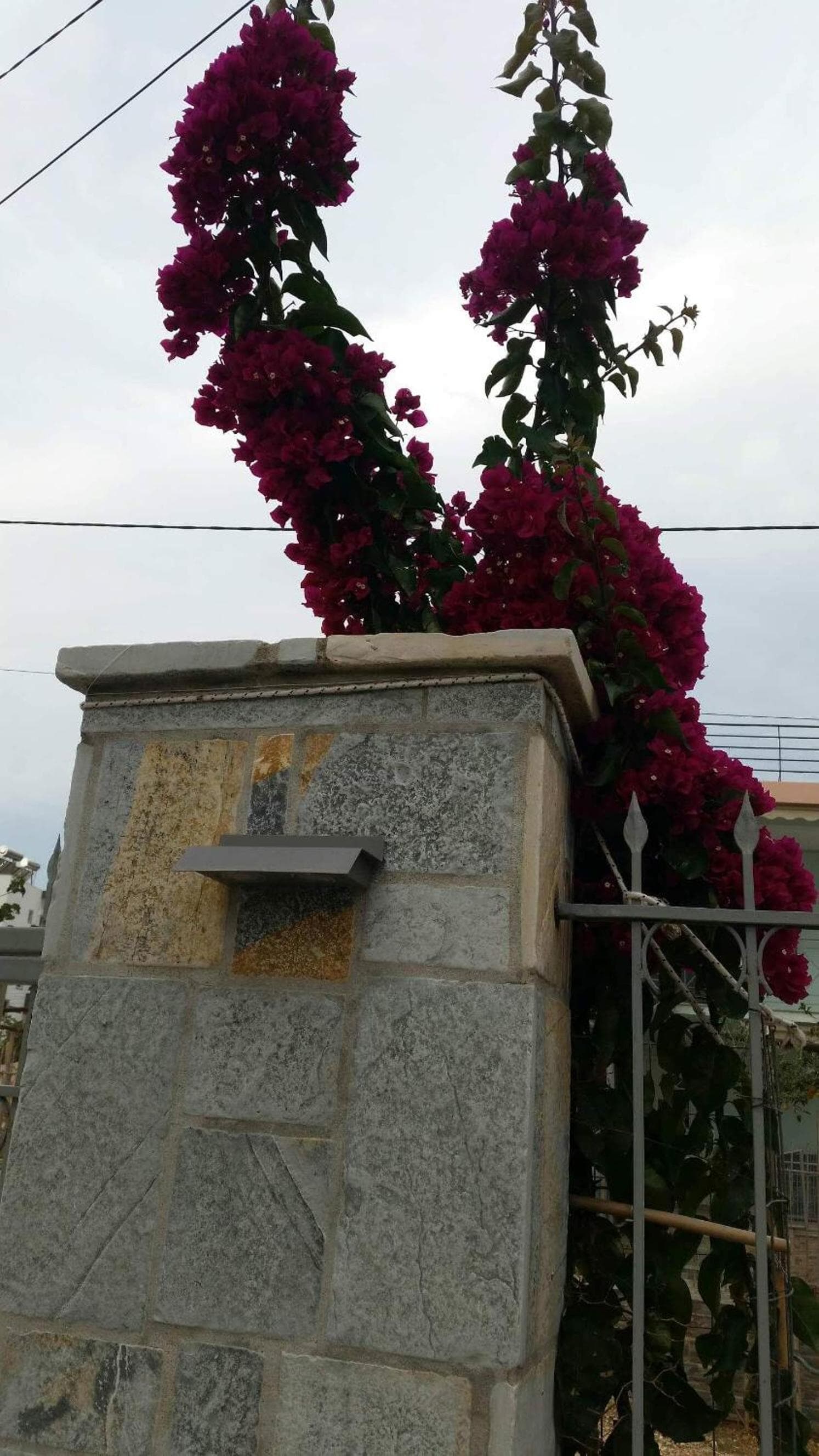 Vila Ester, Ksamil, photo 6