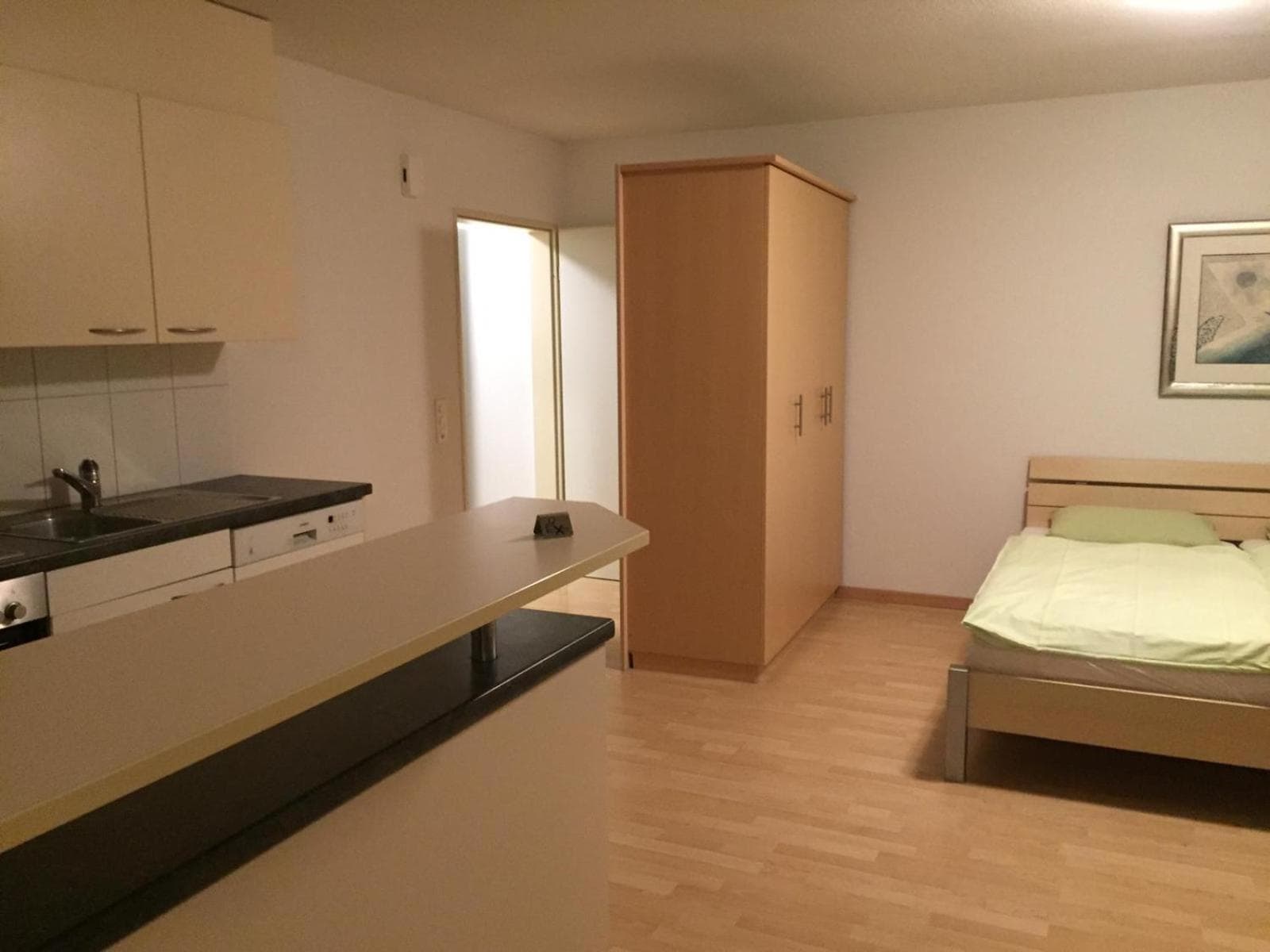 SASS APARTHOTEL, Schönenwerd, photo 2