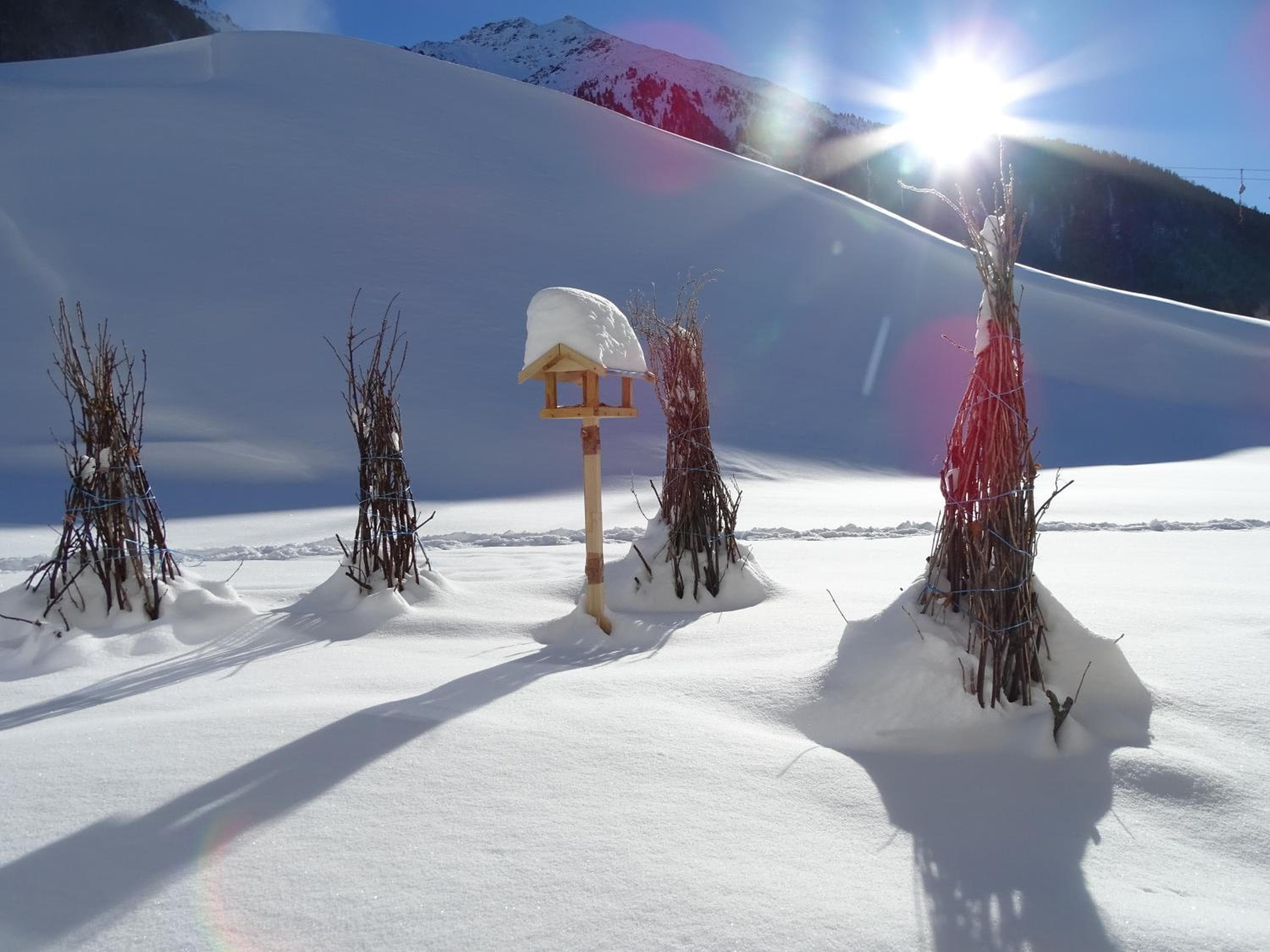 Apart Tyrol, Umhausen, photo 4