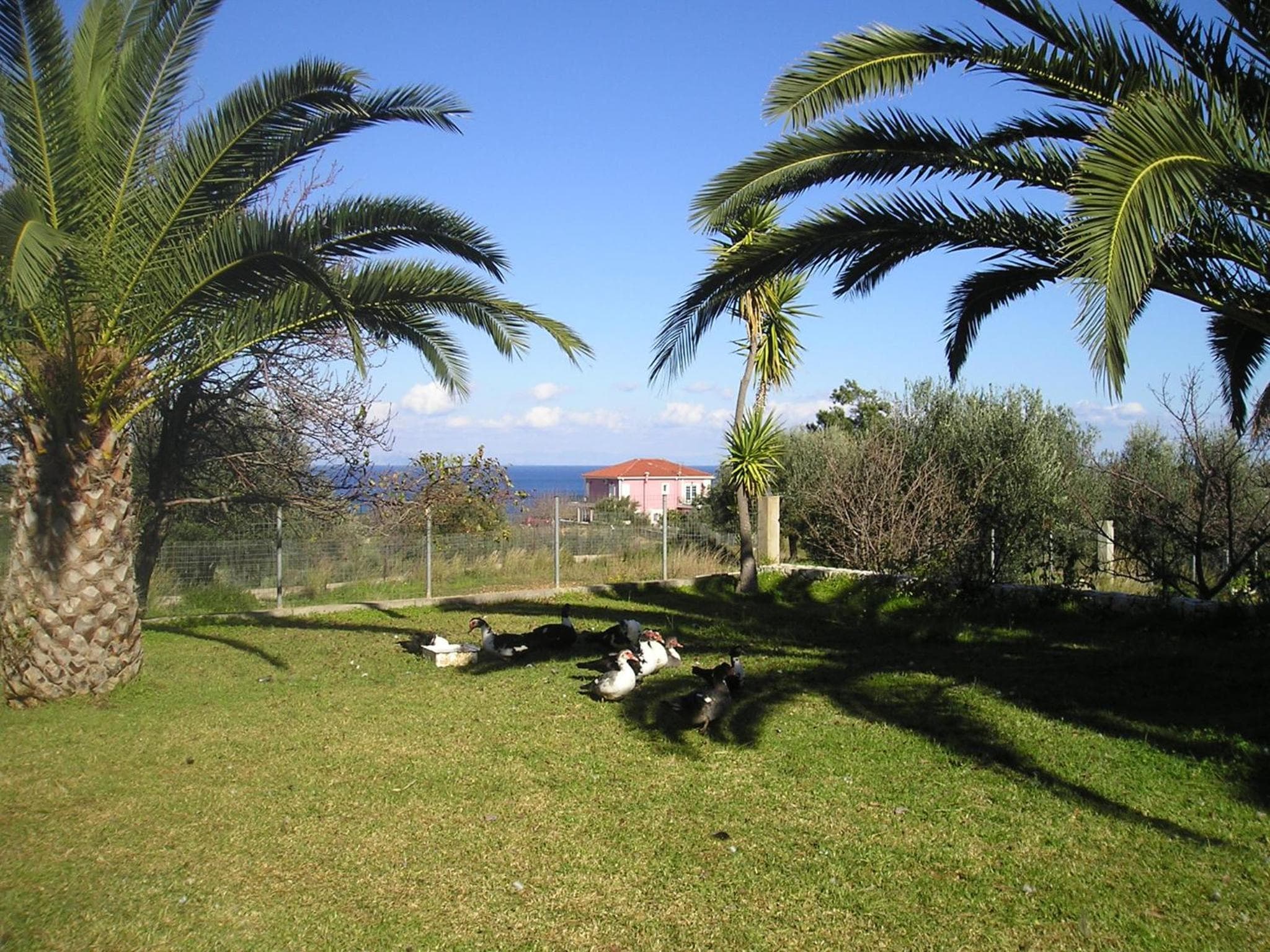 Nikolaos Studios Skala, Skála Kefalonias, photo 6