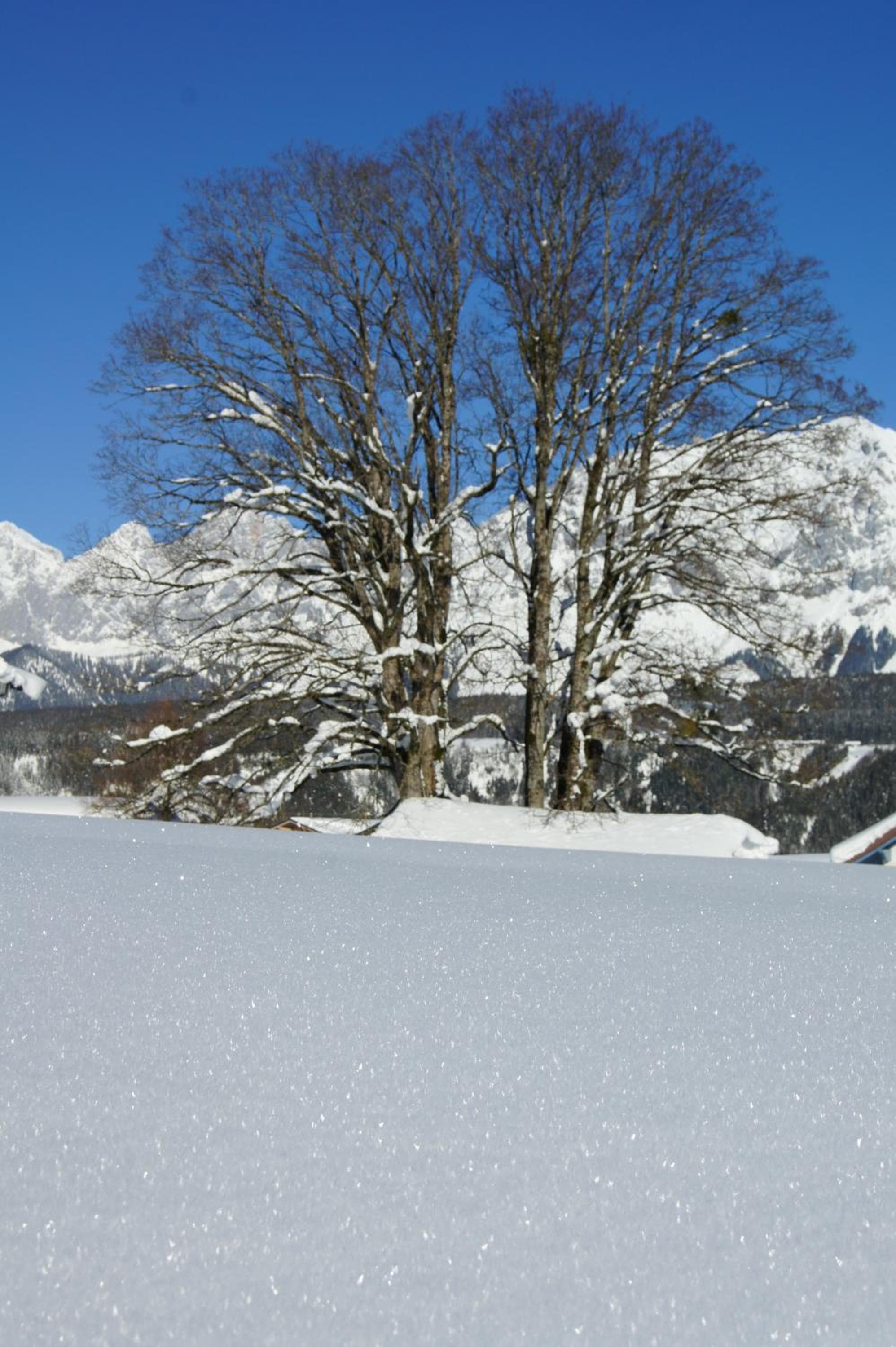 Dachsteinblick, Schladming, photo 2