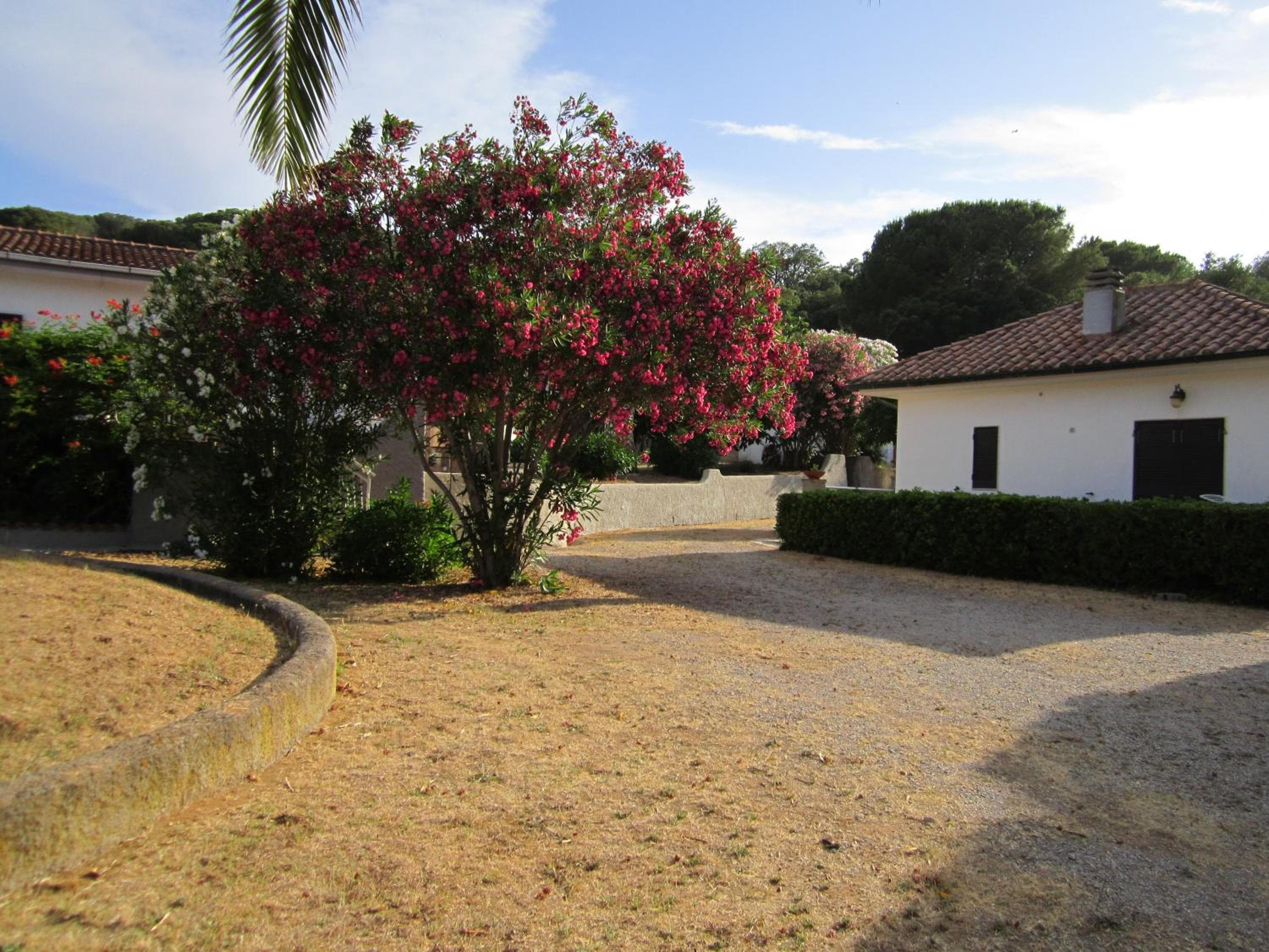 Baia Azzurra, Capoliveri, photo 5