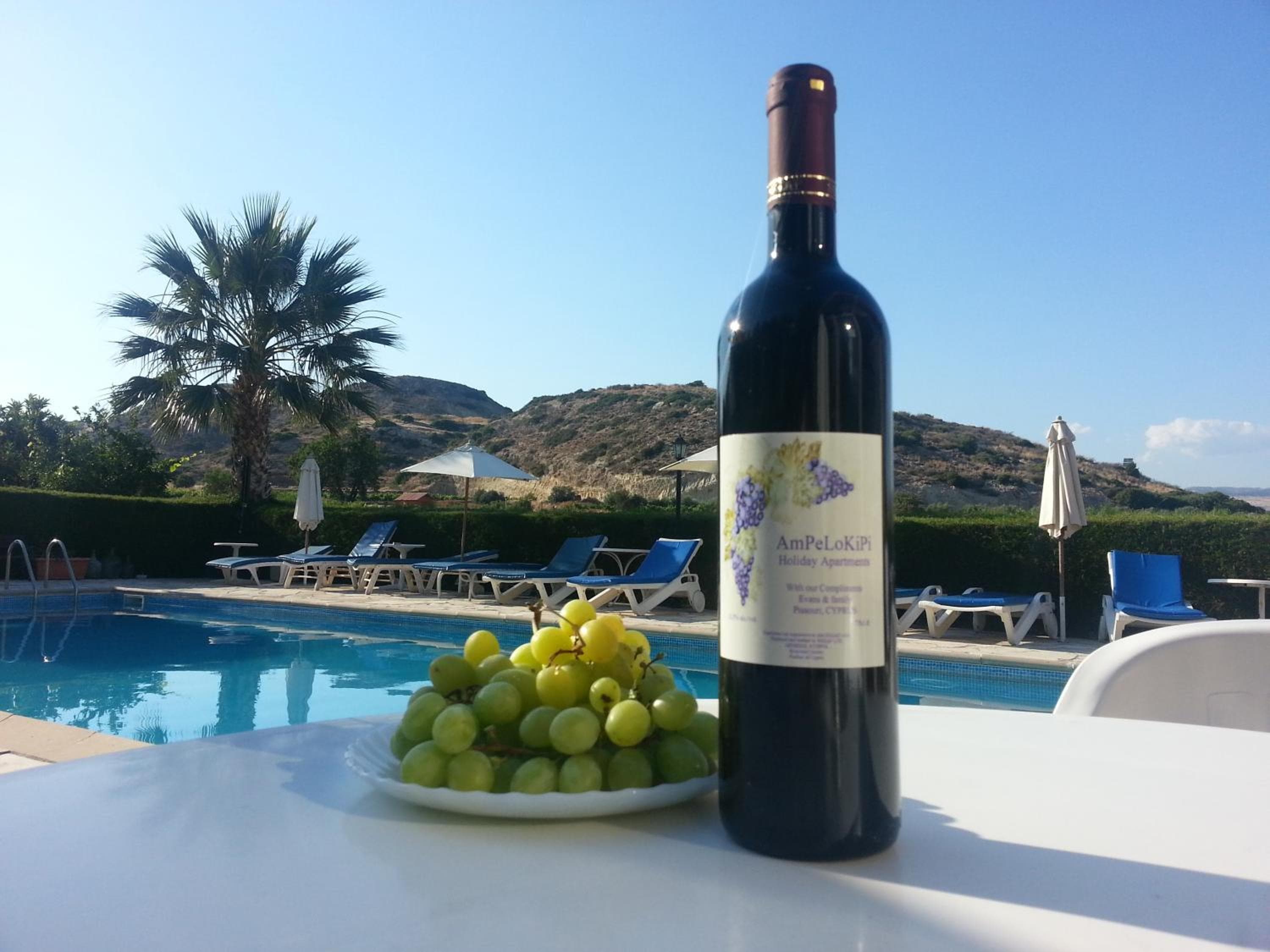 Ampelokipi Holiday Apartments, Pissouri, photo 3