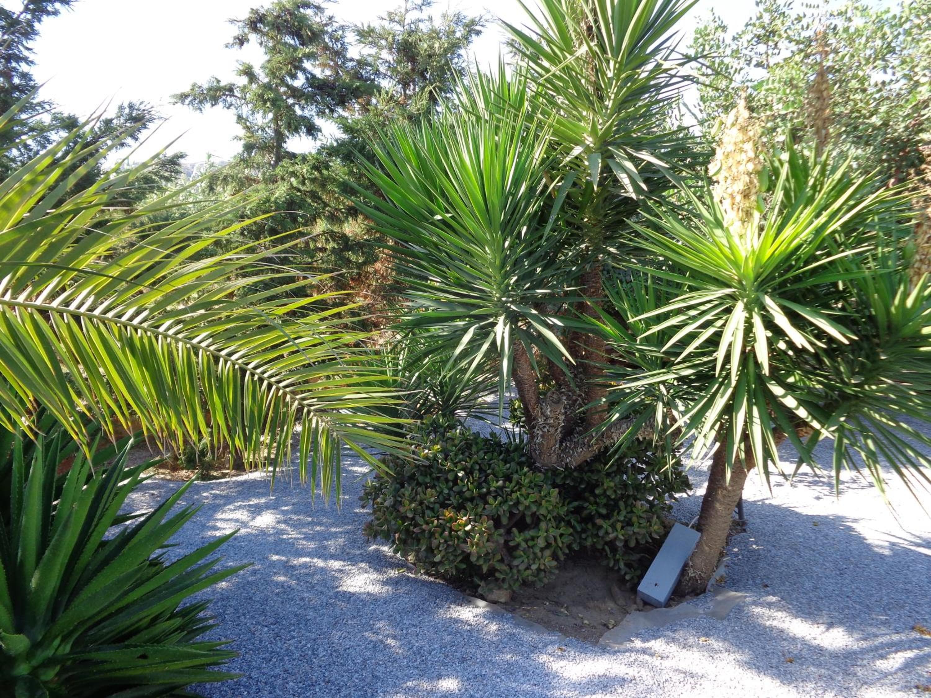 Valena Mare Suites & Apartments, Plaka, photo 2