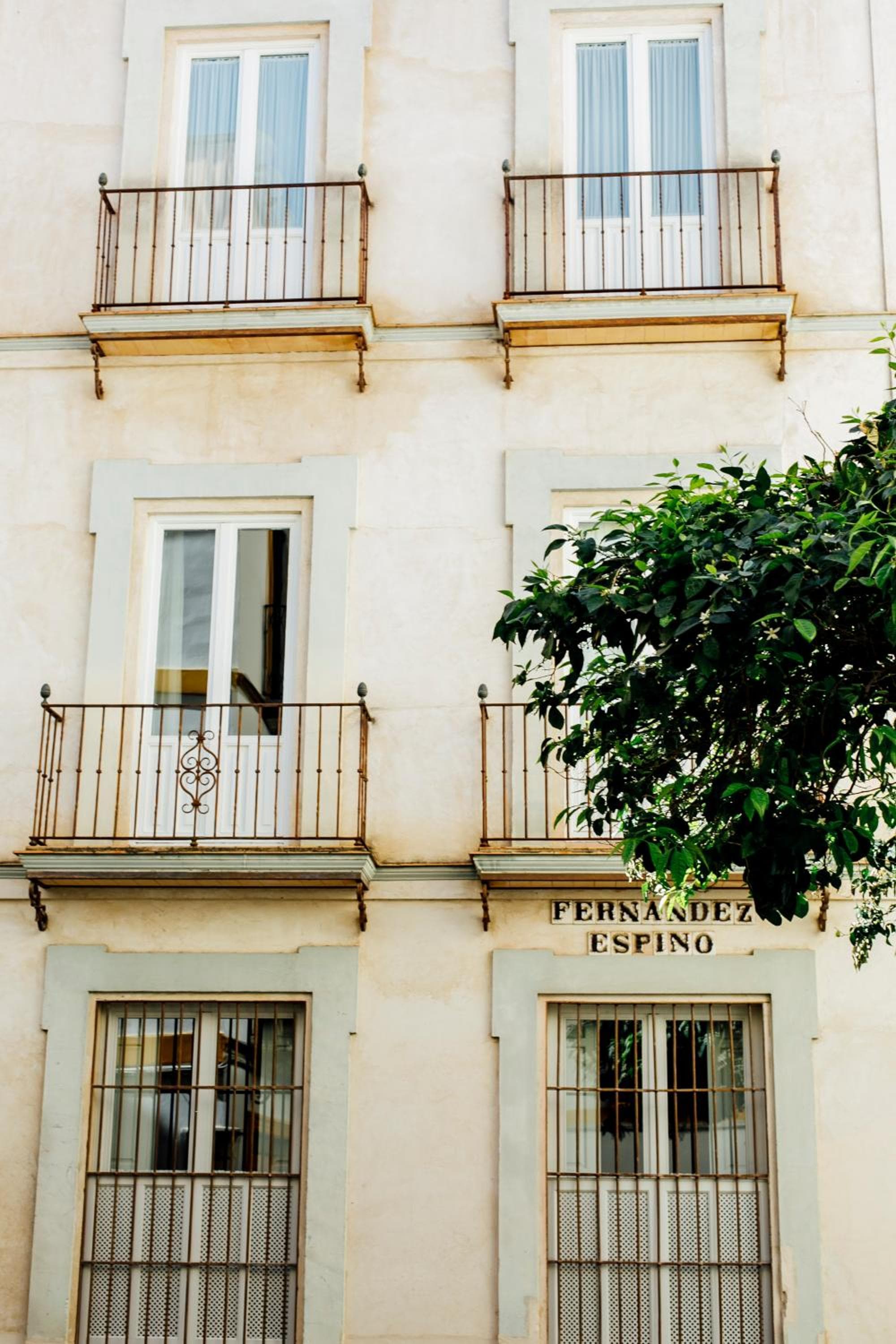 Casa Patio del Siglo XIX, Seville, photo 6