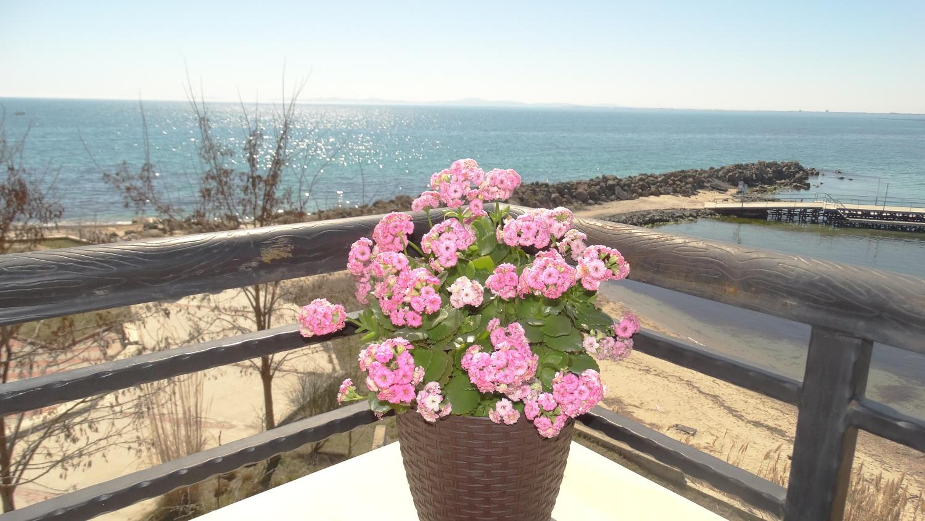 Akrotiria Beach Apart Complex, Nesebar, photo 2