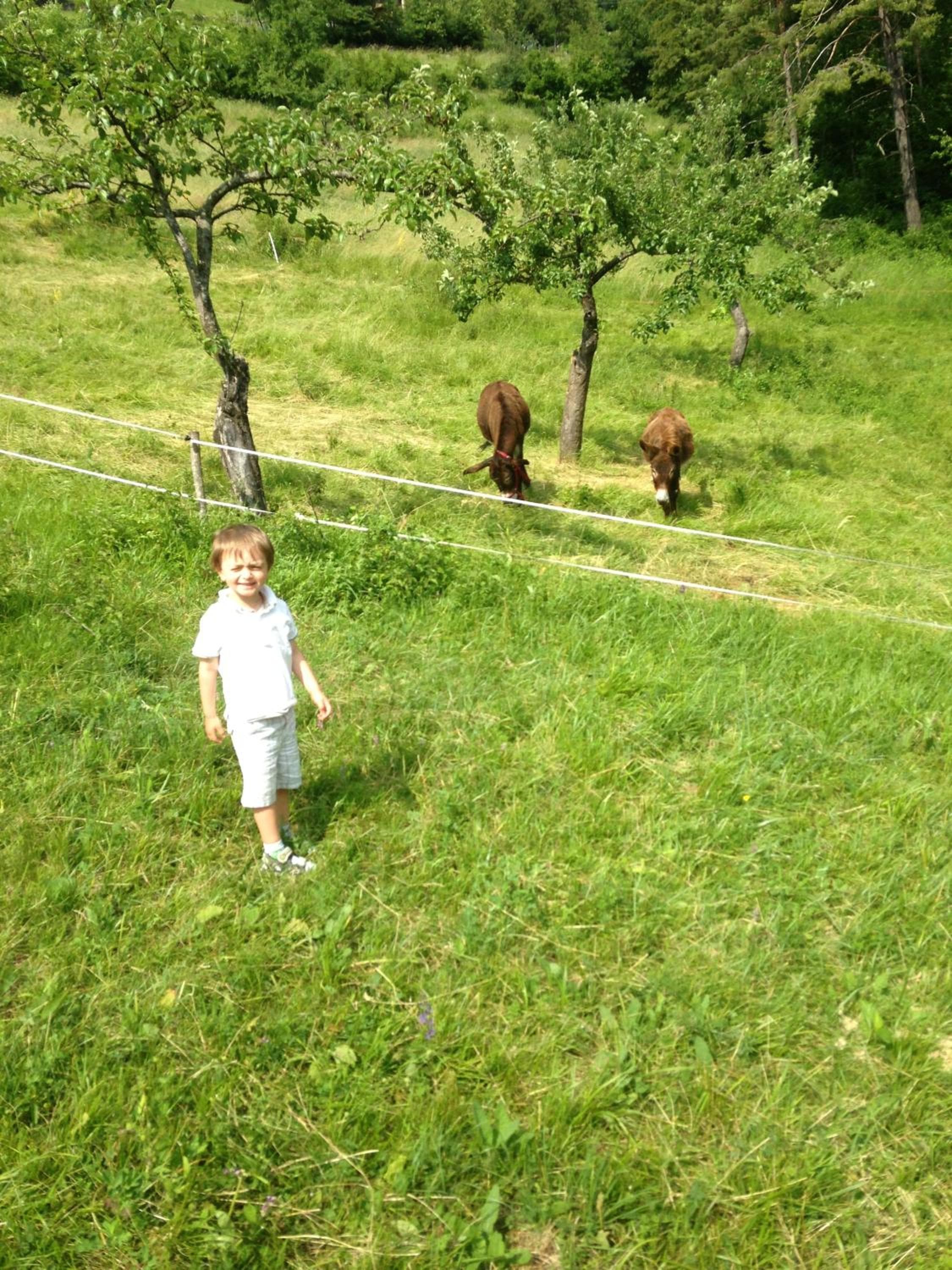 Relais Fior di Bosco, Folgaria, photo 3