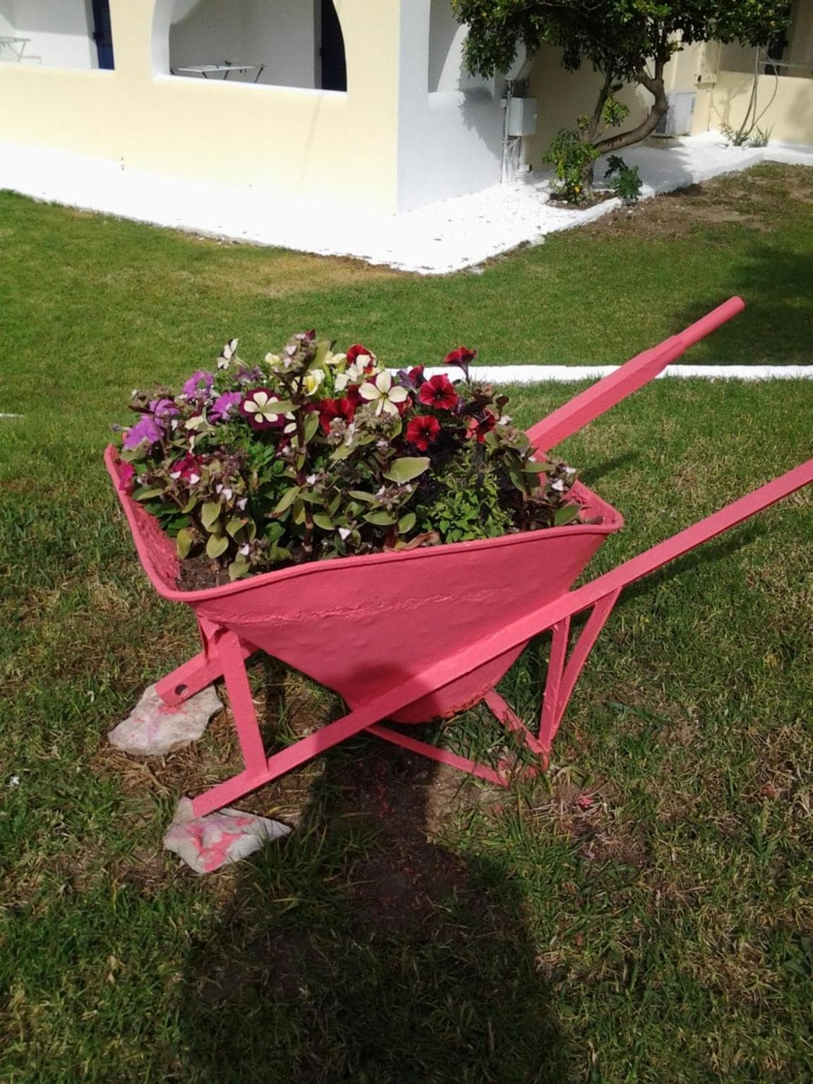 Maistrali Studios Skiathos, Koukounaries, photo 2