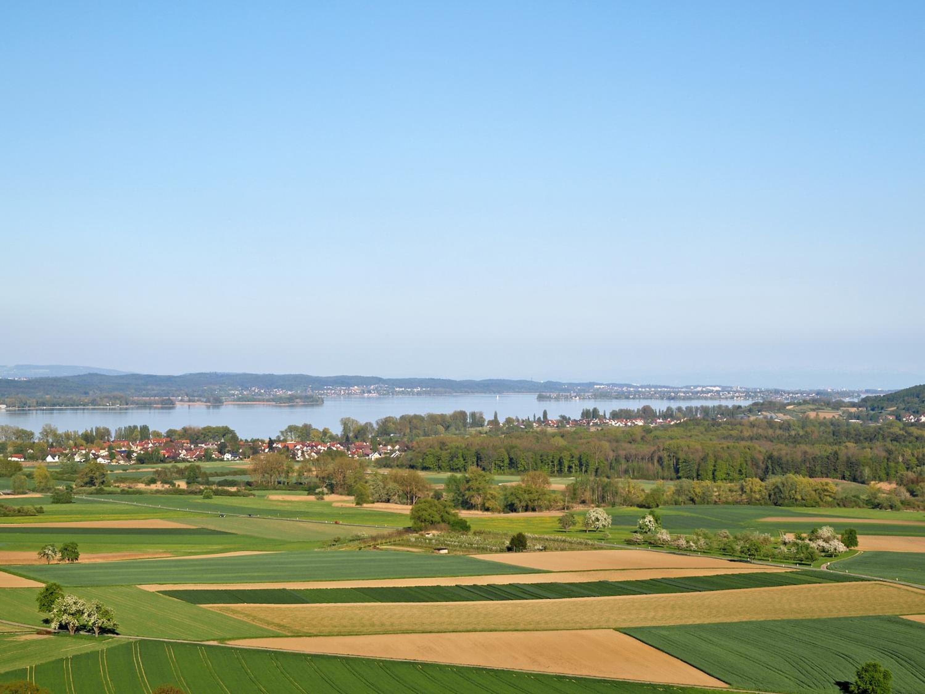 Sternen Bohlingen Aparthotel, Bohlingen, photo 6