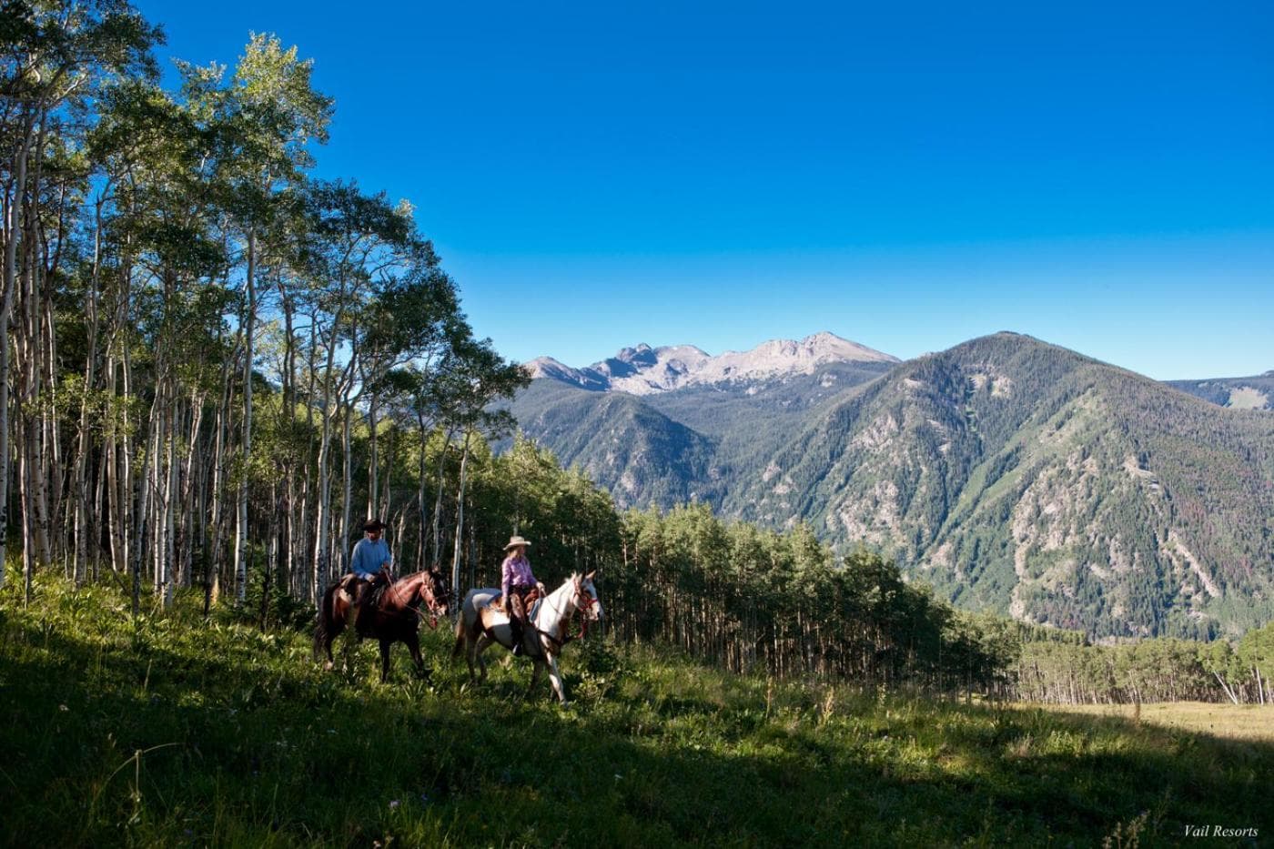 Poste Montane Lodge by East West, Beaver Creek, photo 2