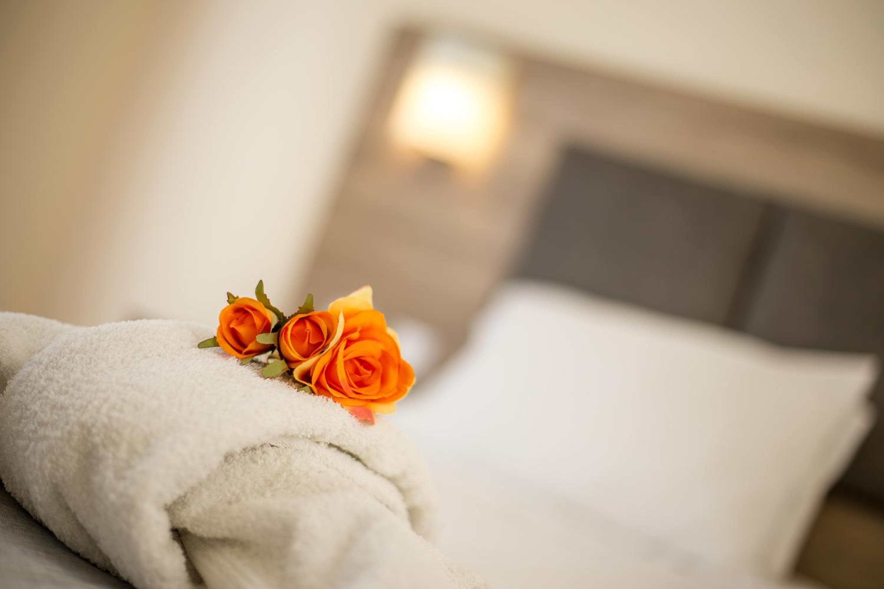 Patricia Suites, Faliraki, photo 3