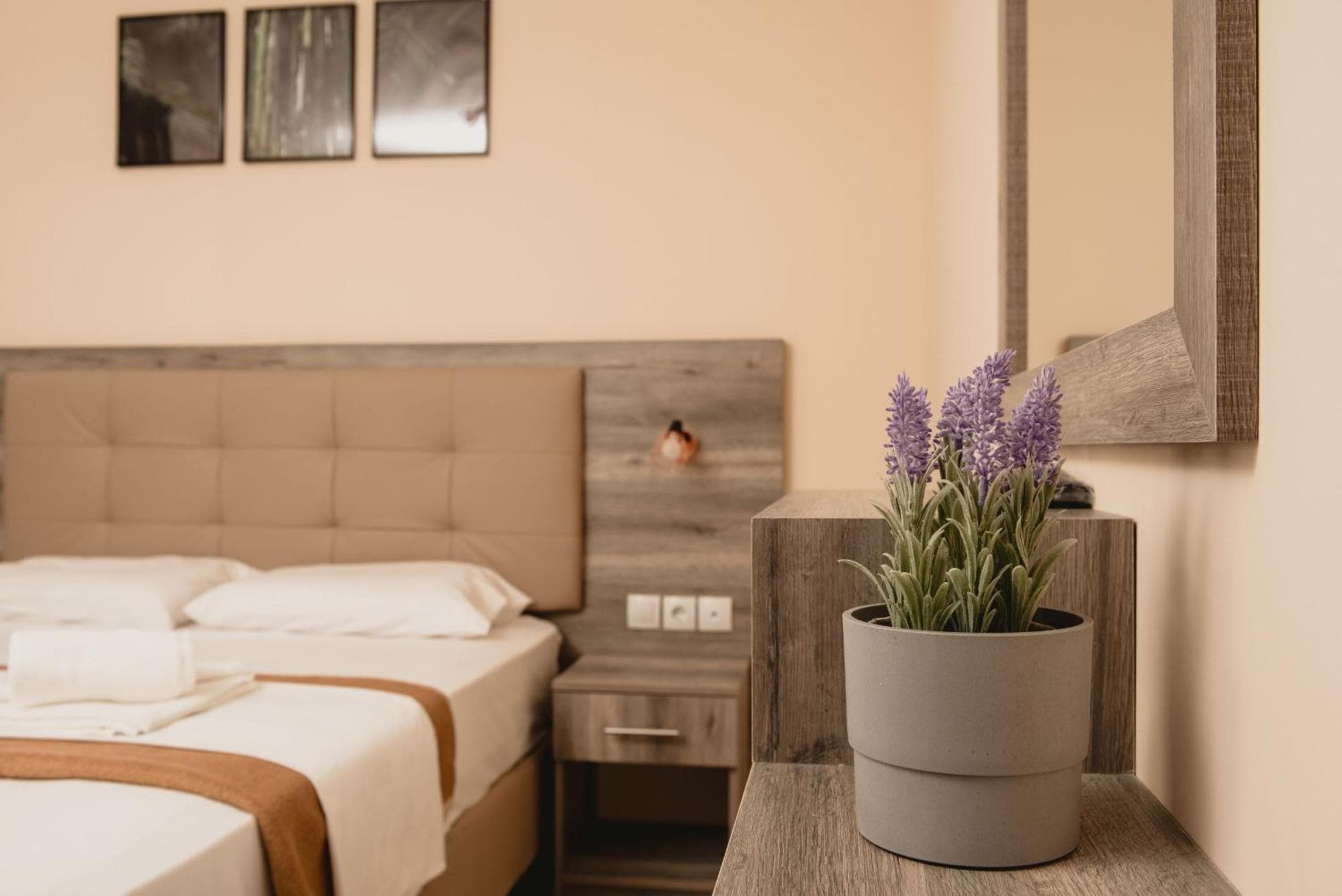 INO Luxury Rooms, Paralia Katerinis, photo 6