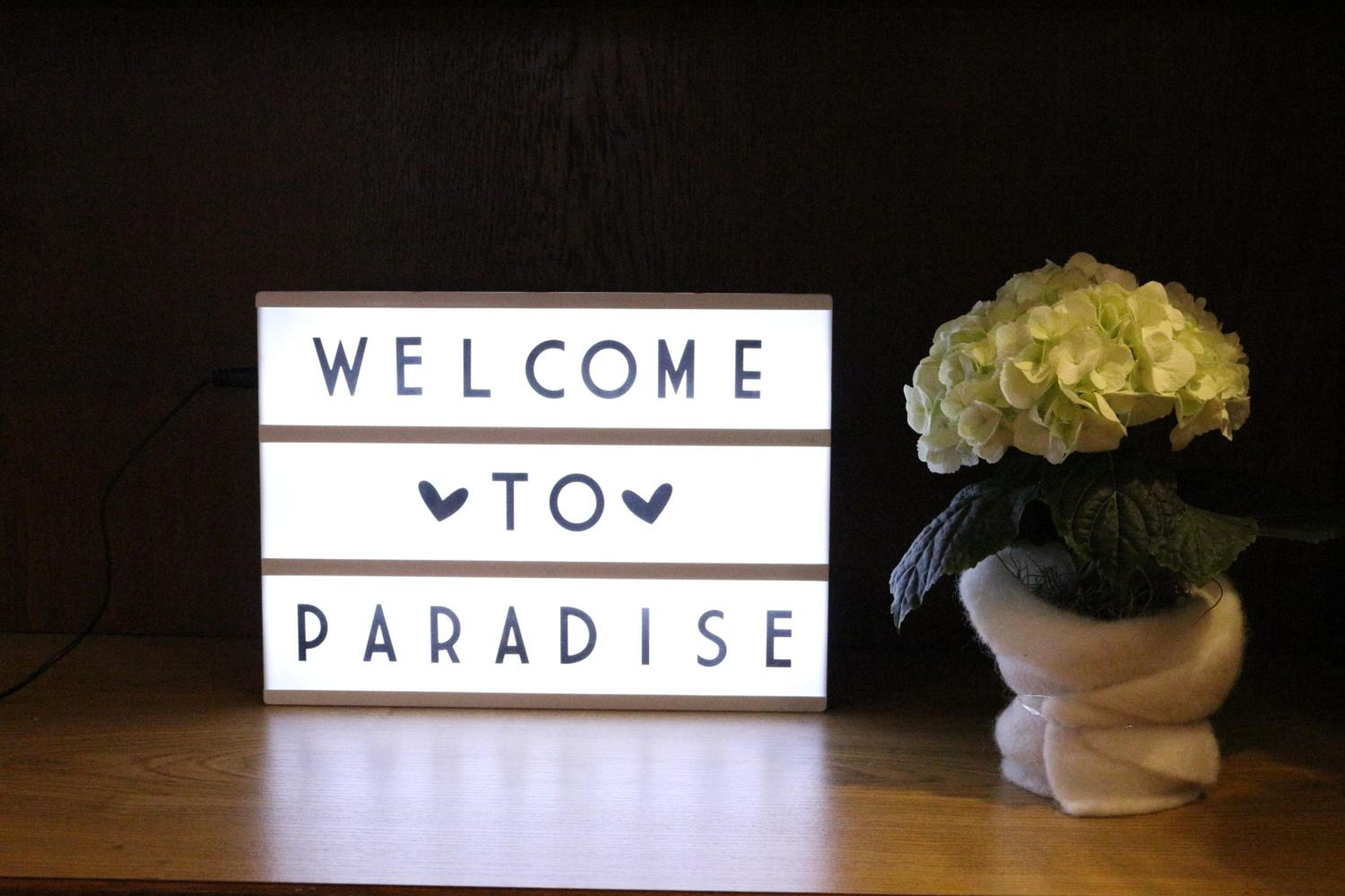 Apart Hotel Paradies, Bad Salzschlirf, photo 6