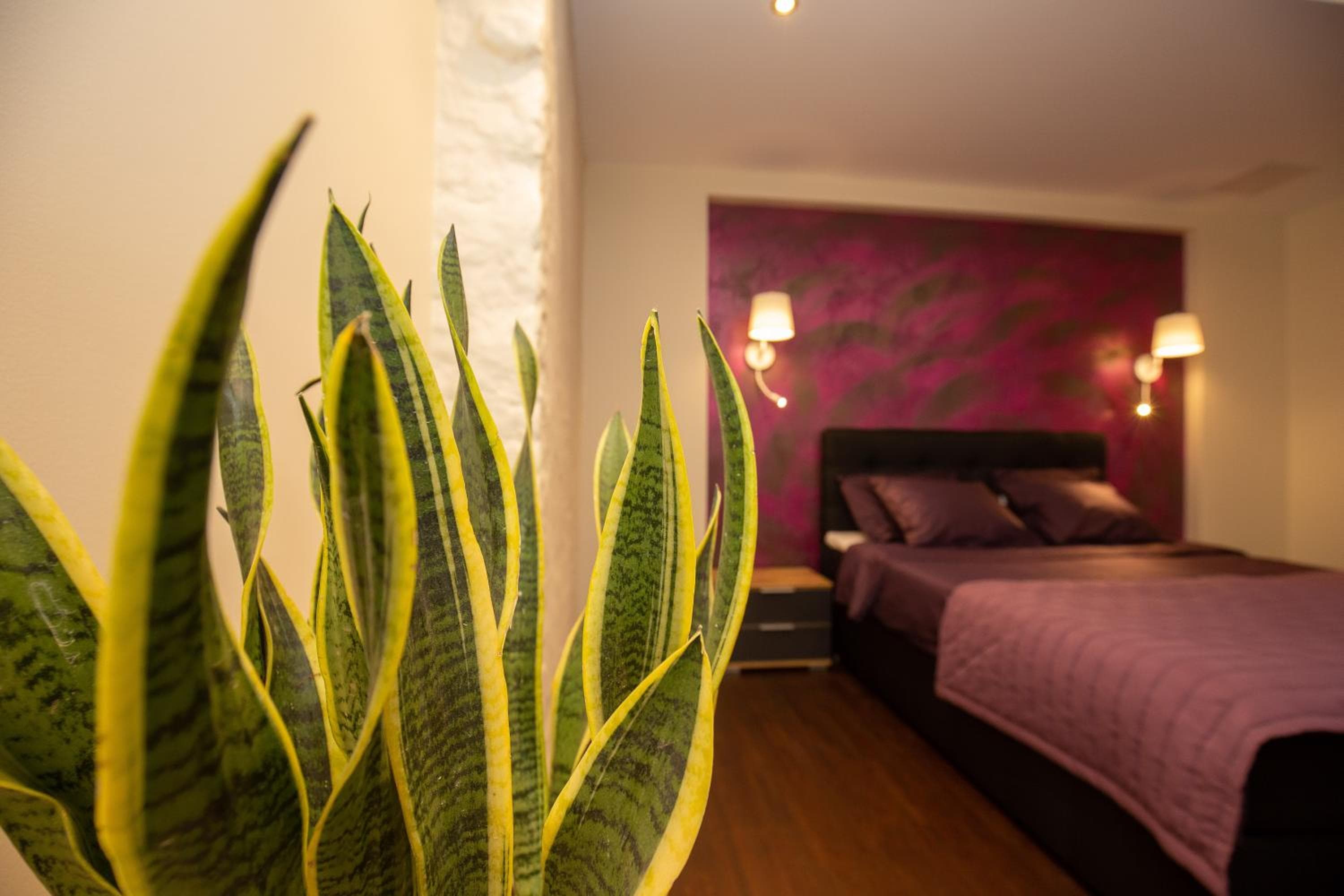 P54 Apartment, Paide