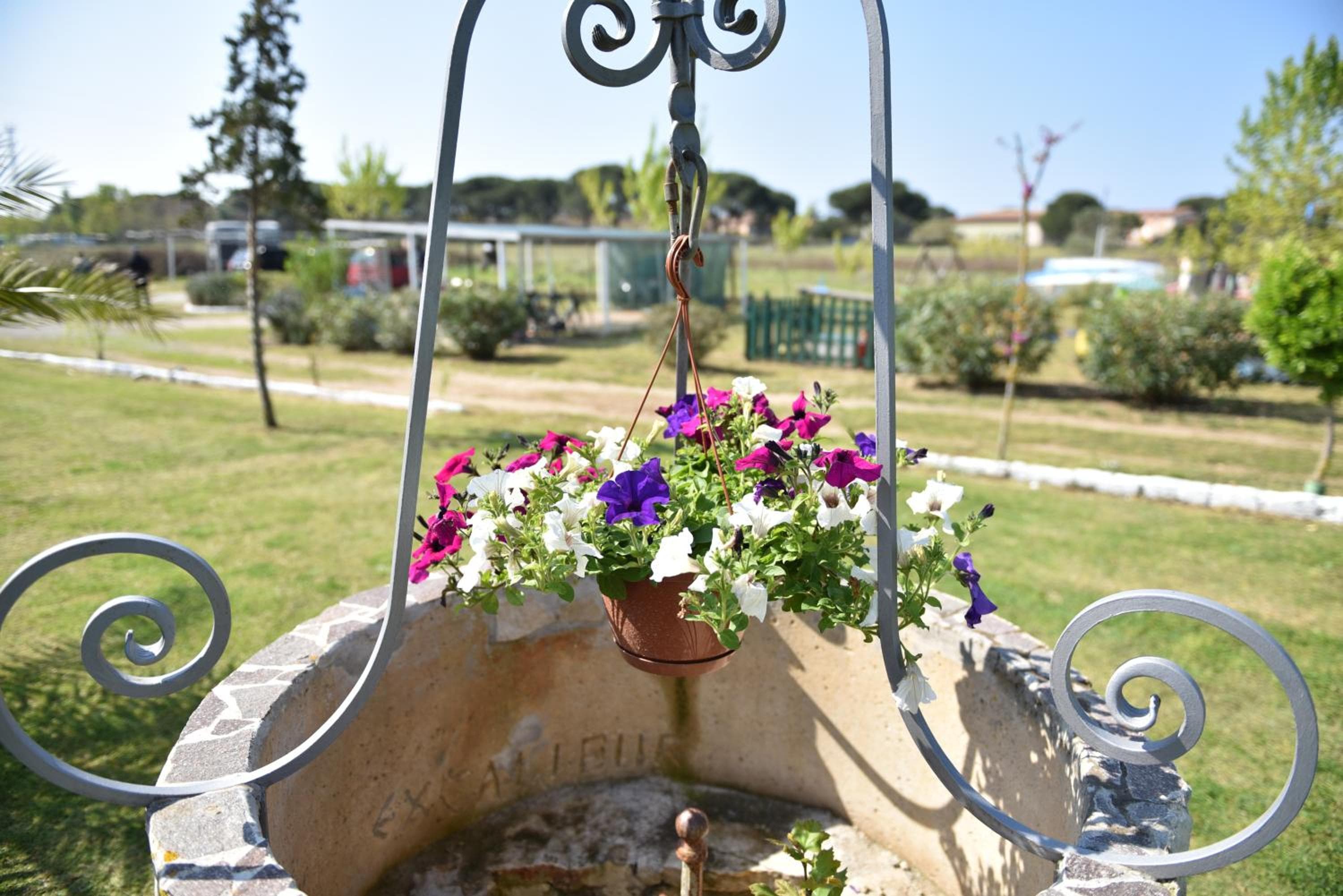 Villa Isabella, Marina di Grosseto, photo 6