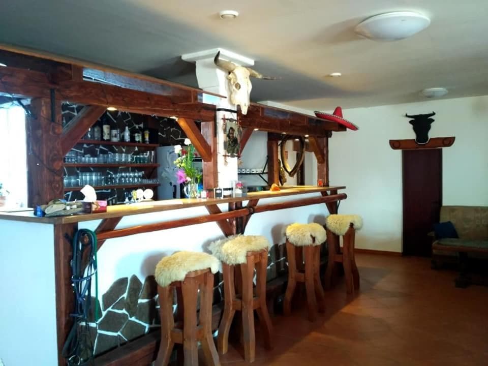 Penzion U Kmotra, Borovany, photo 6