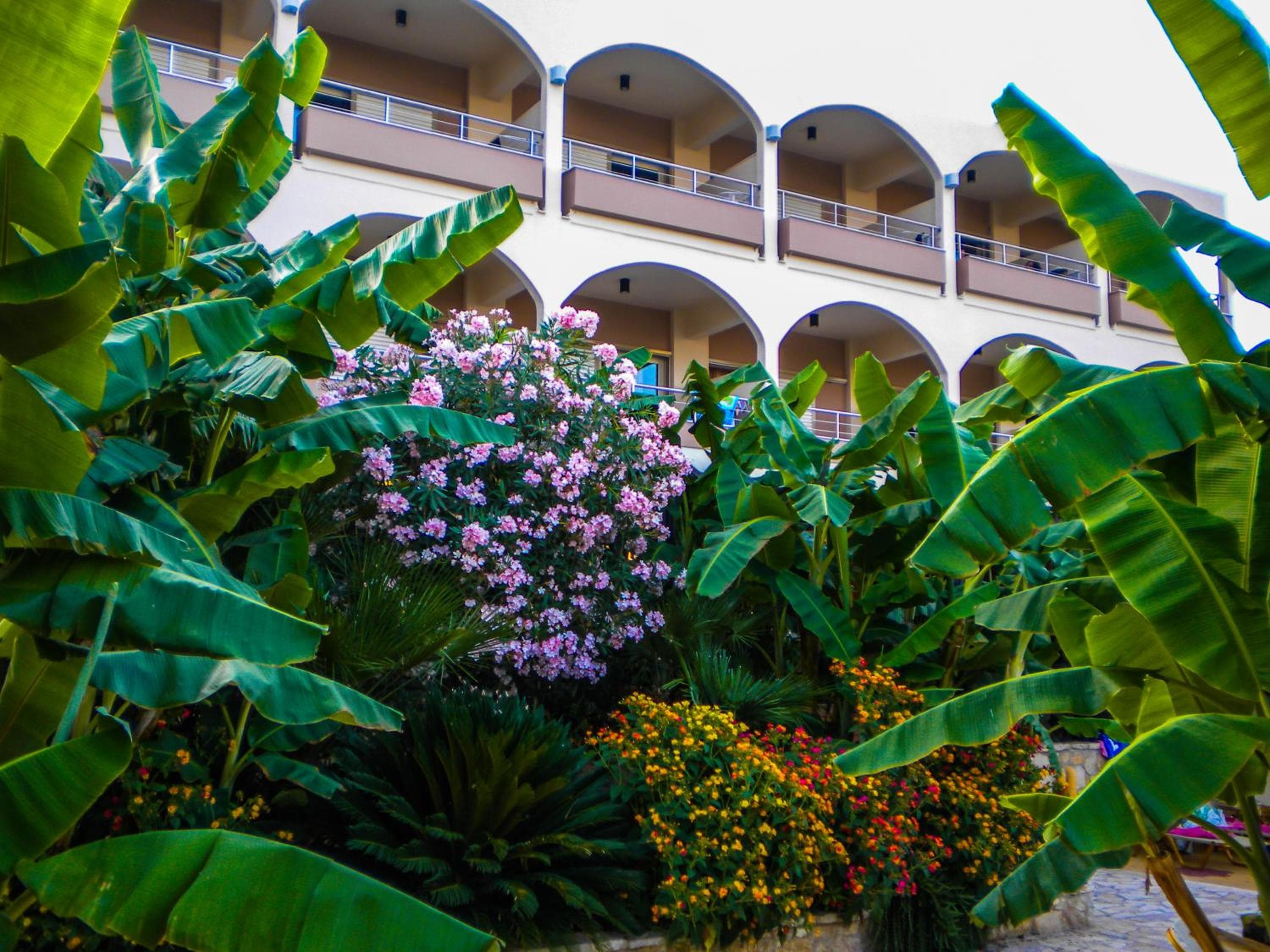 Paradise Lost Hotel-Apartments, Tolo