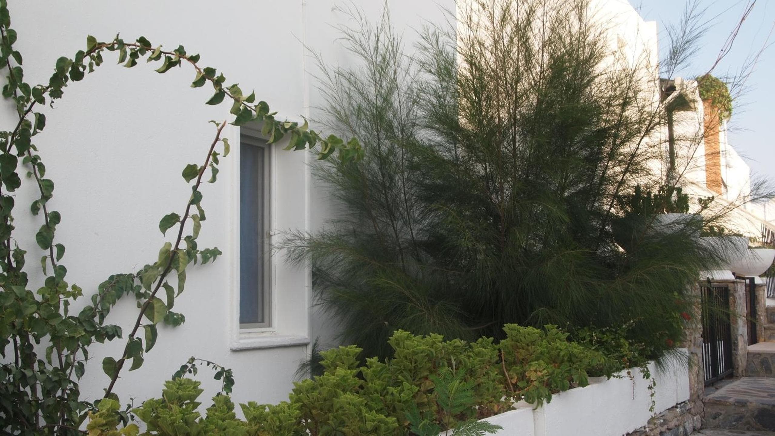 Emelce Apart, Bodrum City
