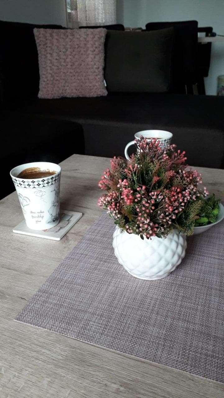 Apartman Nana Svetogorska 19 ,stan 17, Zlatibor, photo 5