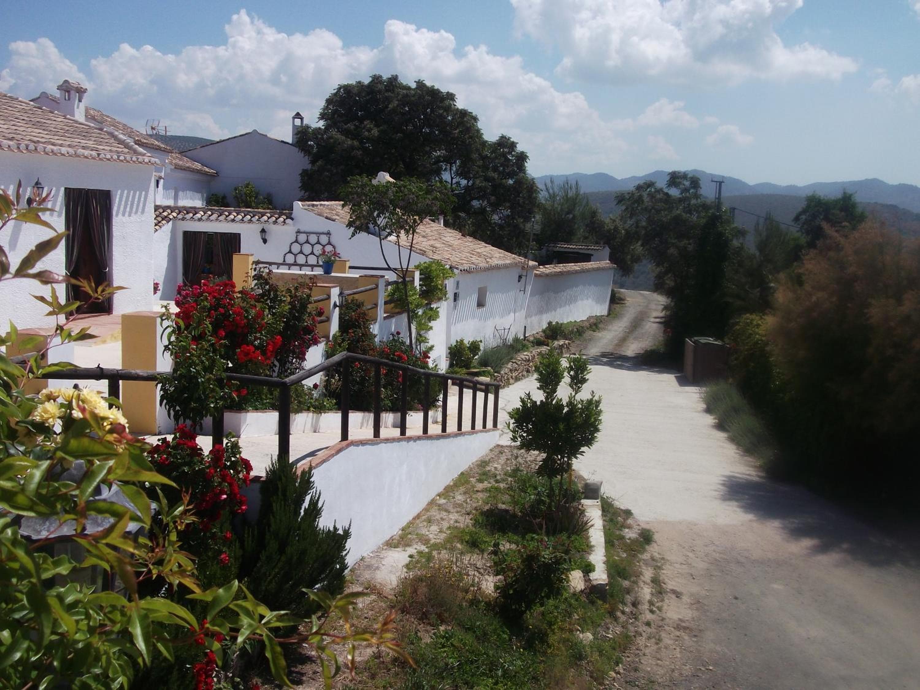 Cortijo Molino los Justos, Fuentes de Cesna, photo 4