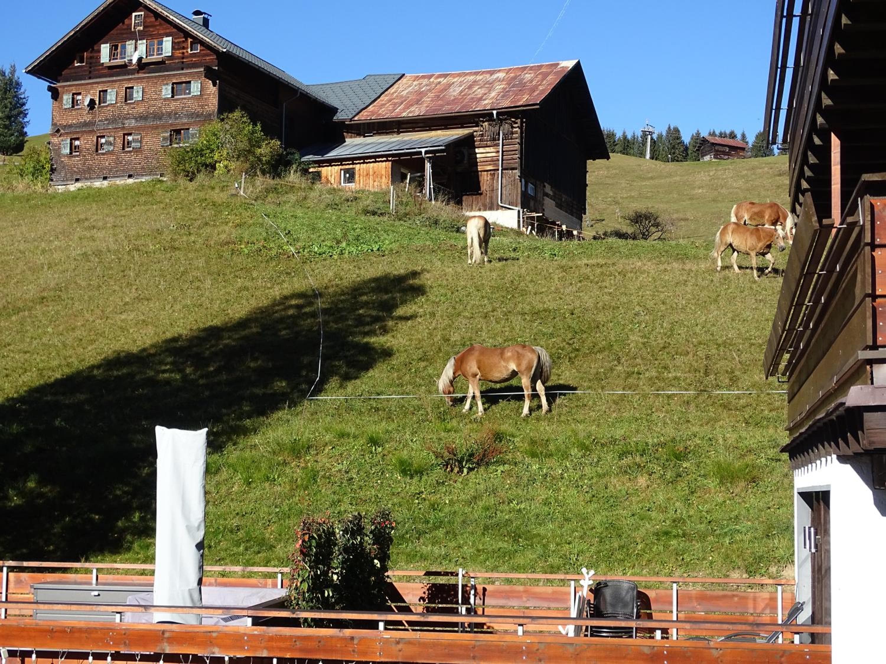 Der Berghof, Hirschegg, photo 3