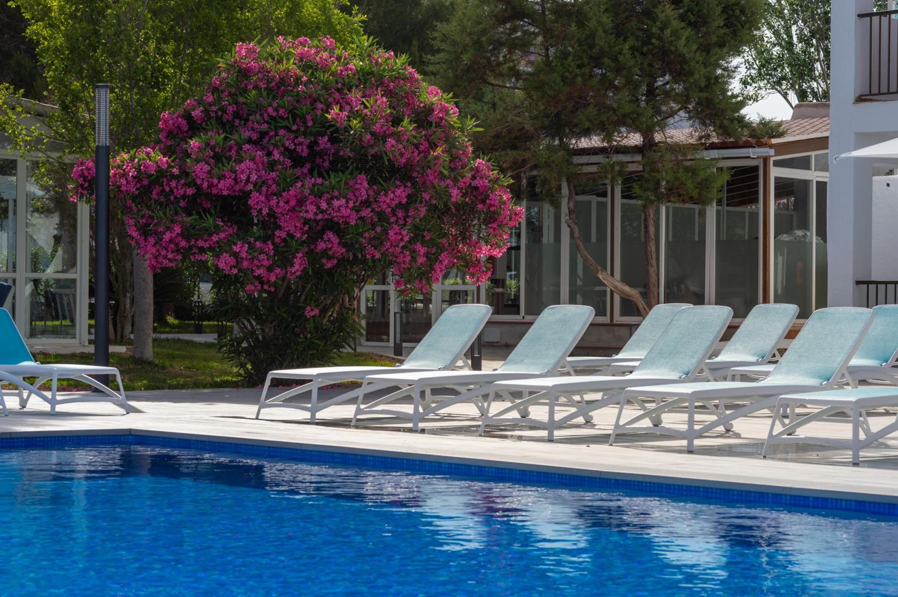 Aparthotel Vibra Club Maritim, photo 4