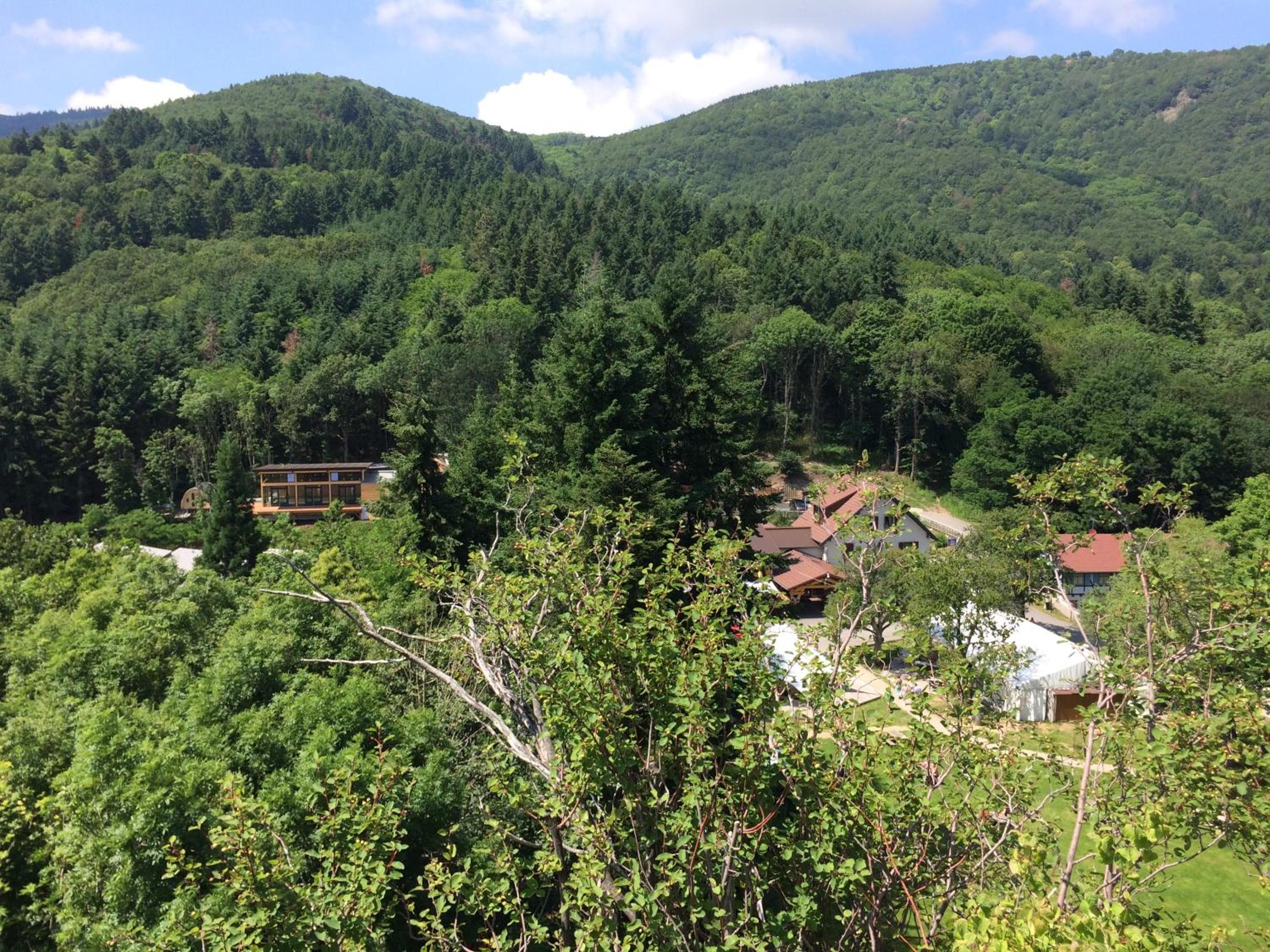 Domaine du Hirtz, Restaurant & Spa, Wattwiller, photo 5