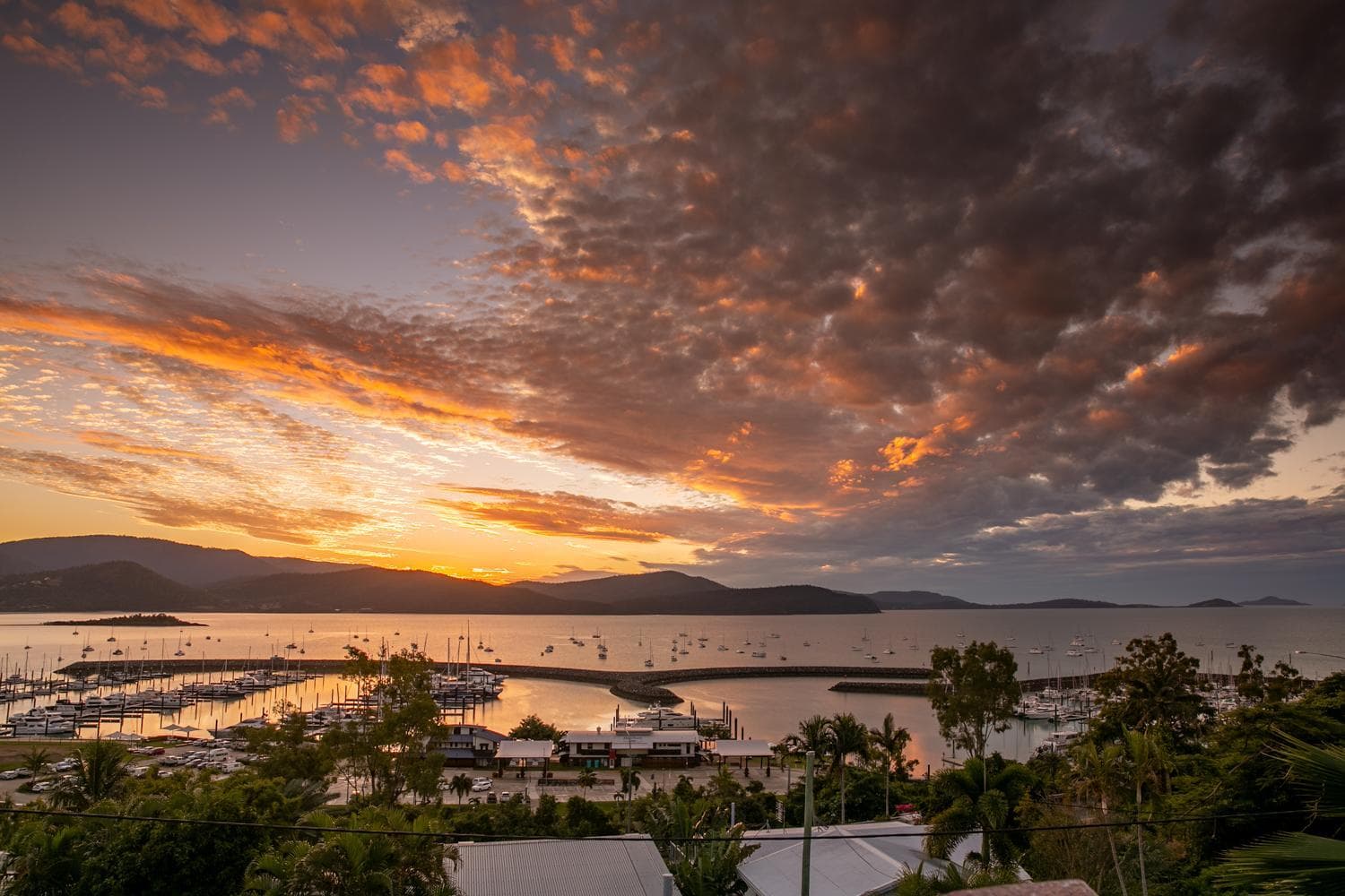Sunlit Waters Studio Apartments, Airlie Beach, photo 5