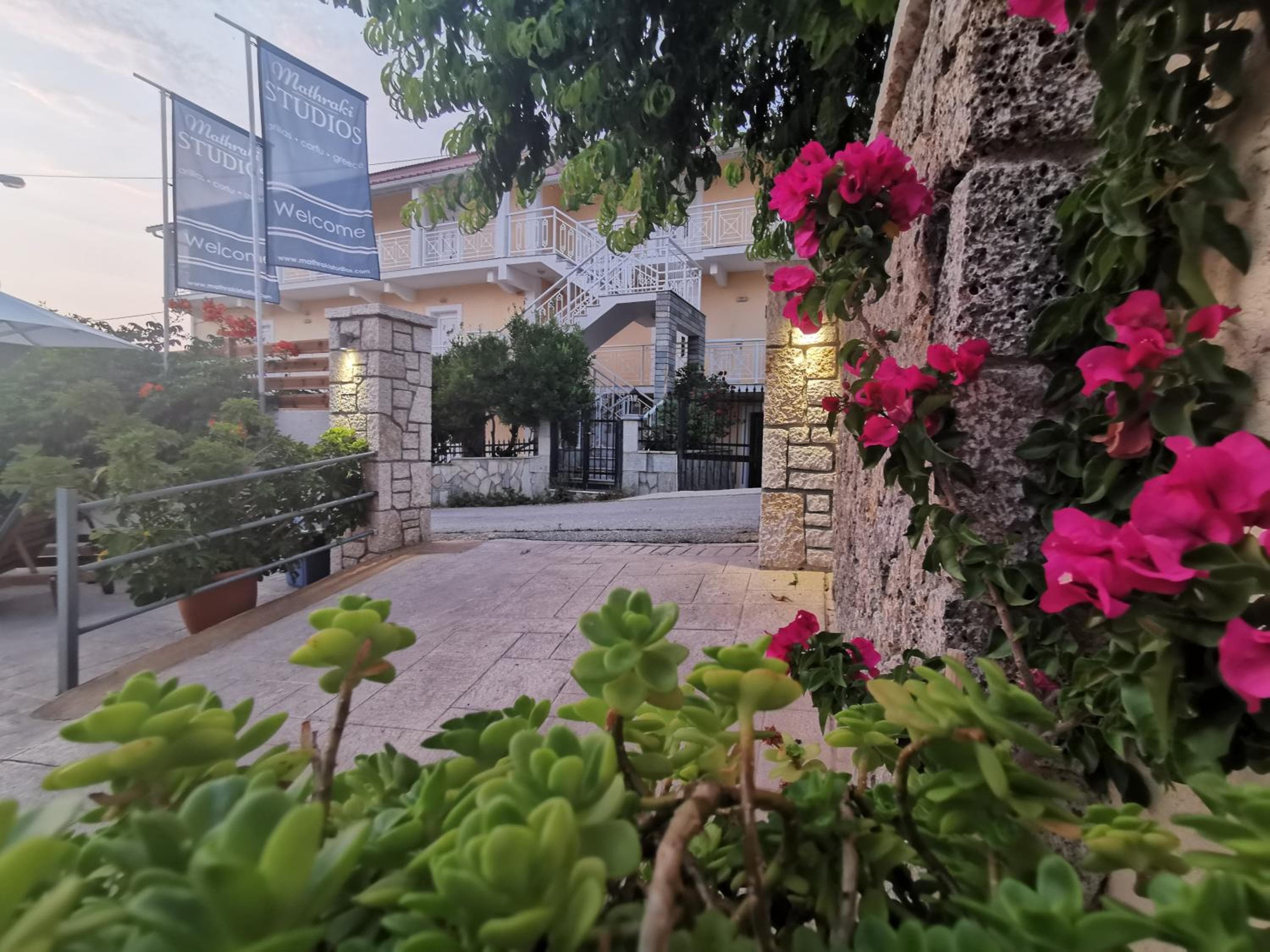 The Mathraki Studios, Arillas