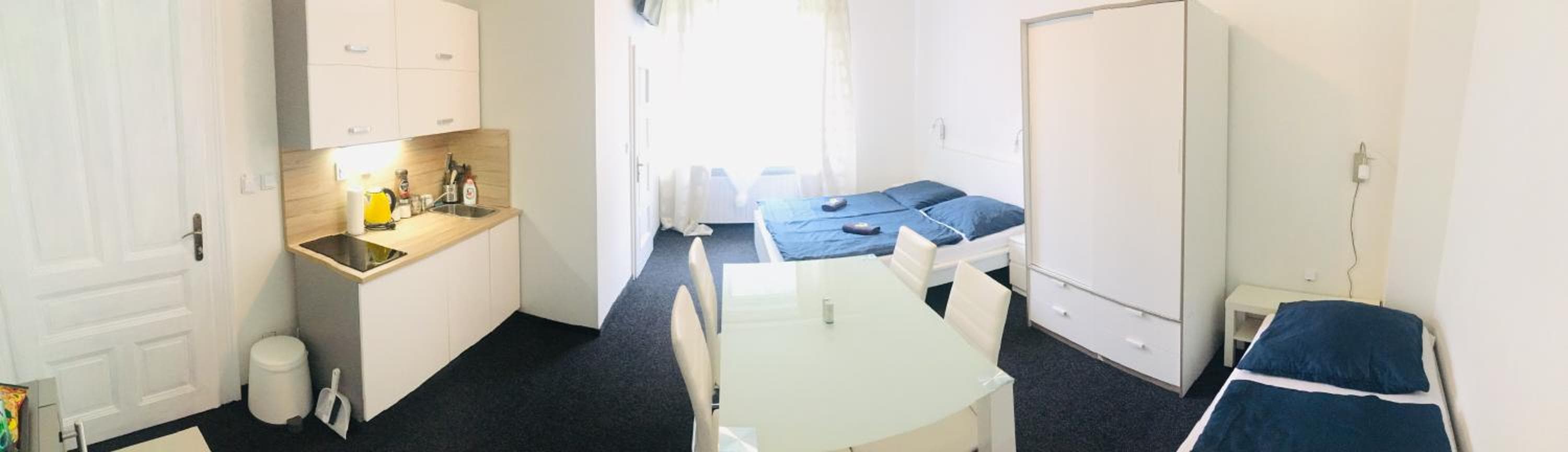 APARTHOTEL VÍTKOVICE, Ostrava, photo 3