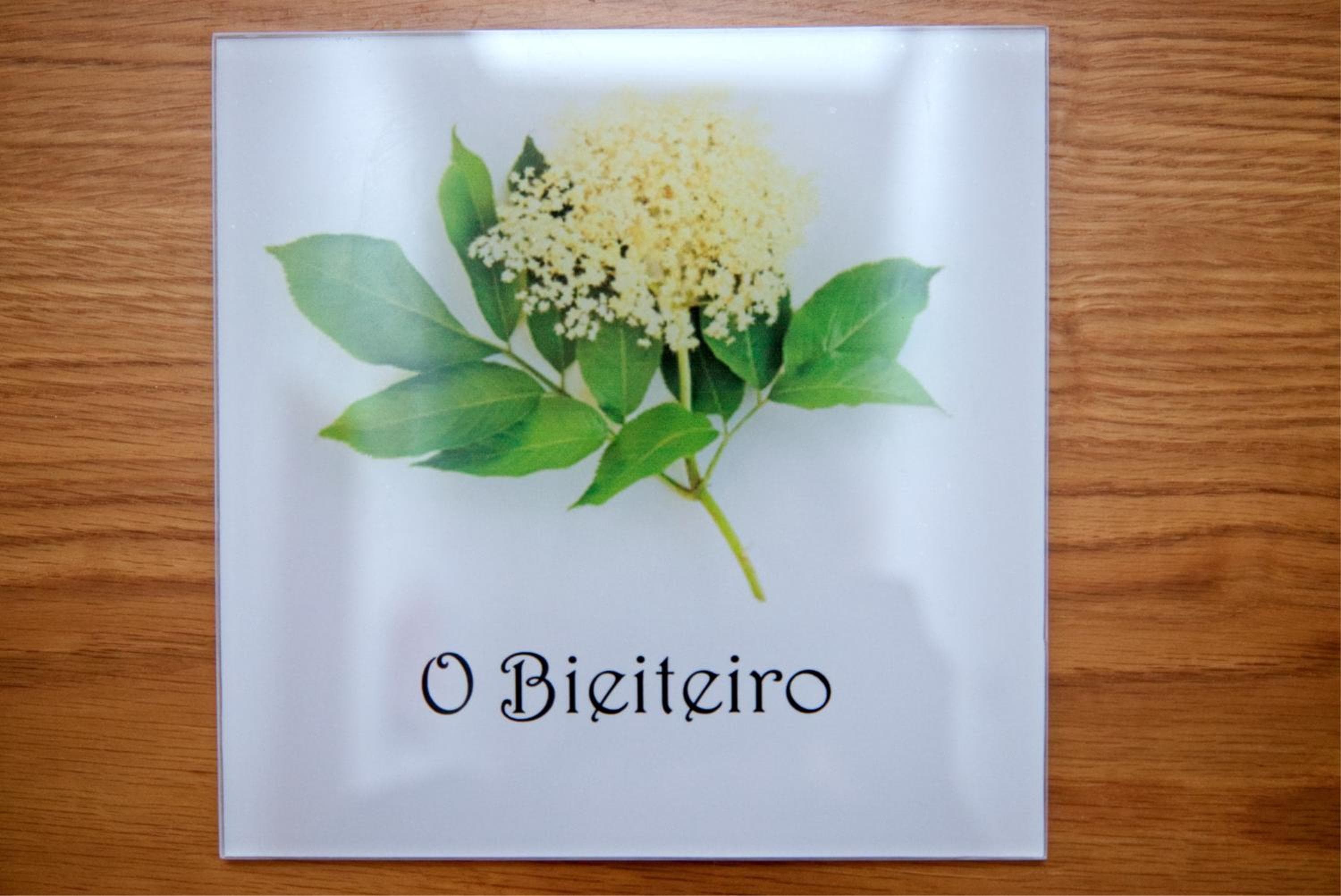 A Carballeira do Tambre, Troitosende, photo 5