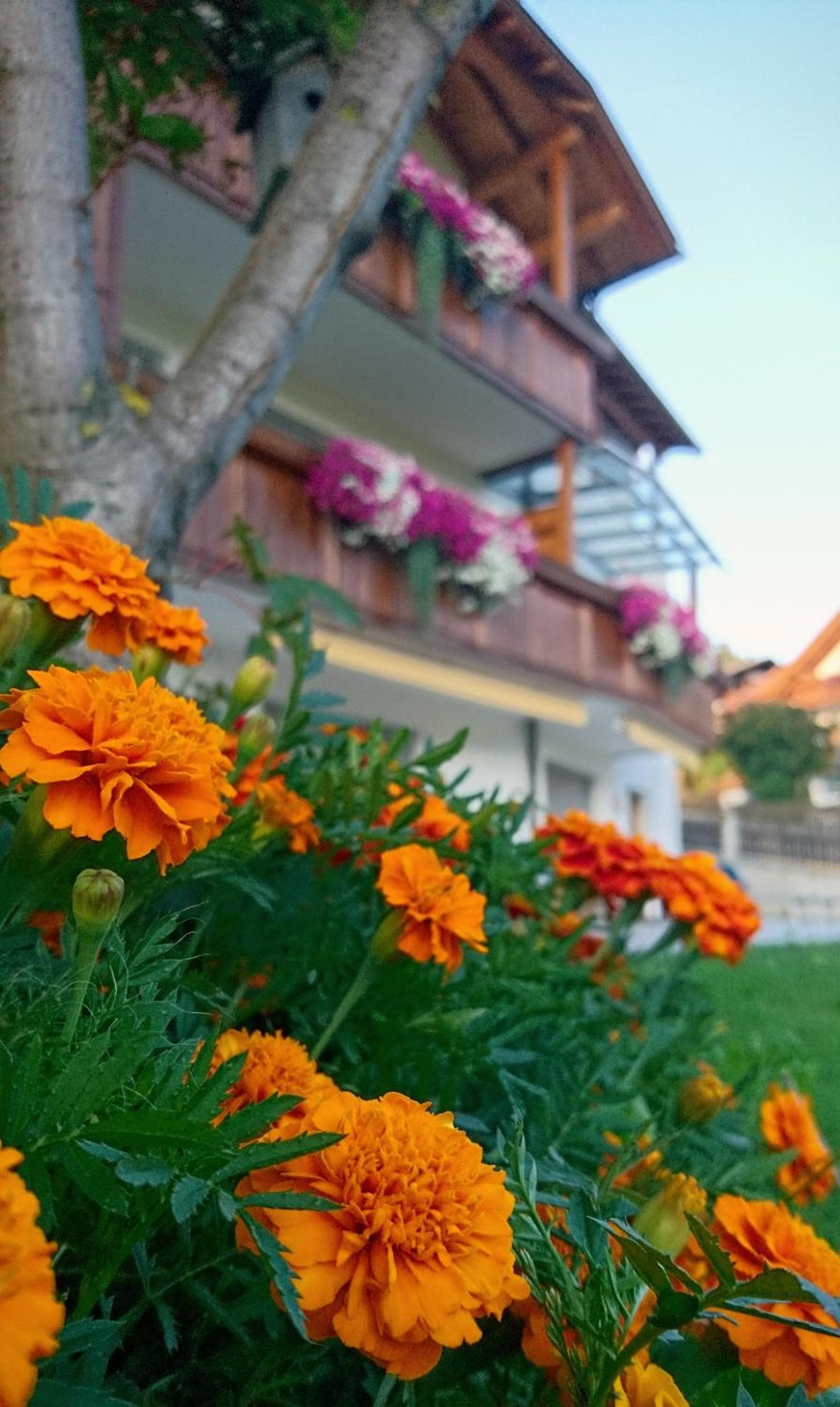 Residence Sonnberg, Perca, photo 3