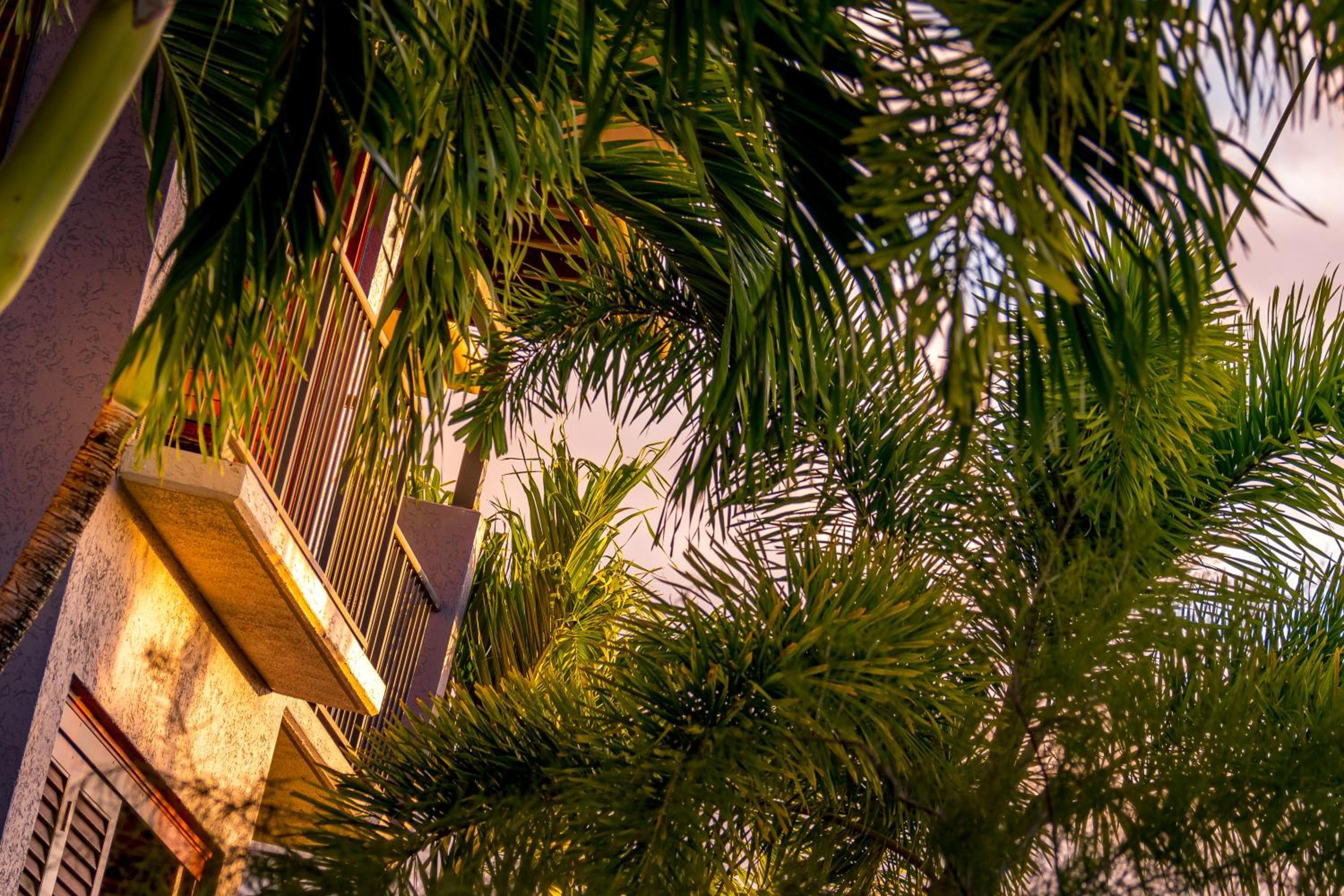 Southern Cross Atrium Apartments, Cairns, photo 3